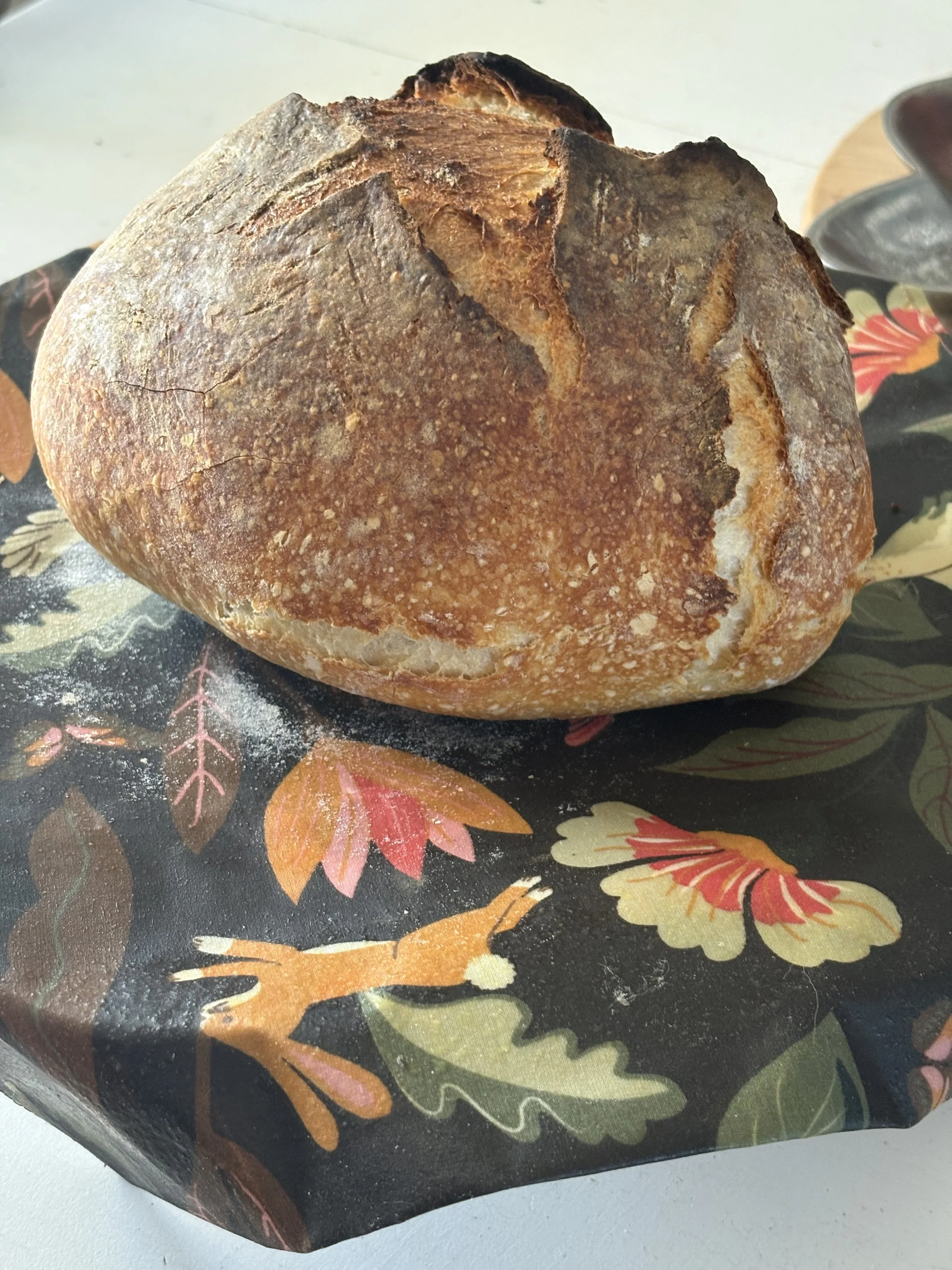 Sourdough Loaf