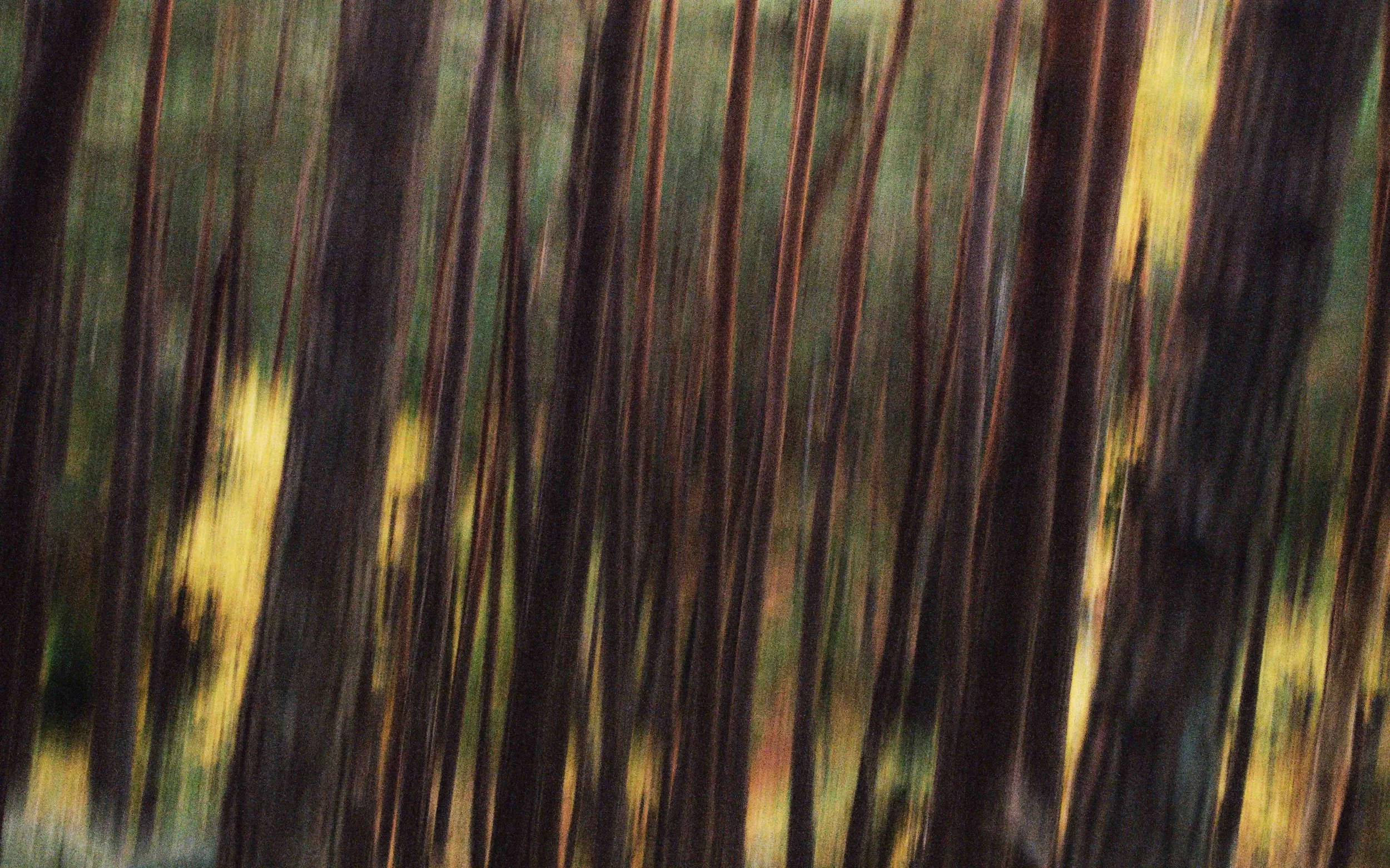 Still 2025-11-04 185334_1.1.3 2.jpg