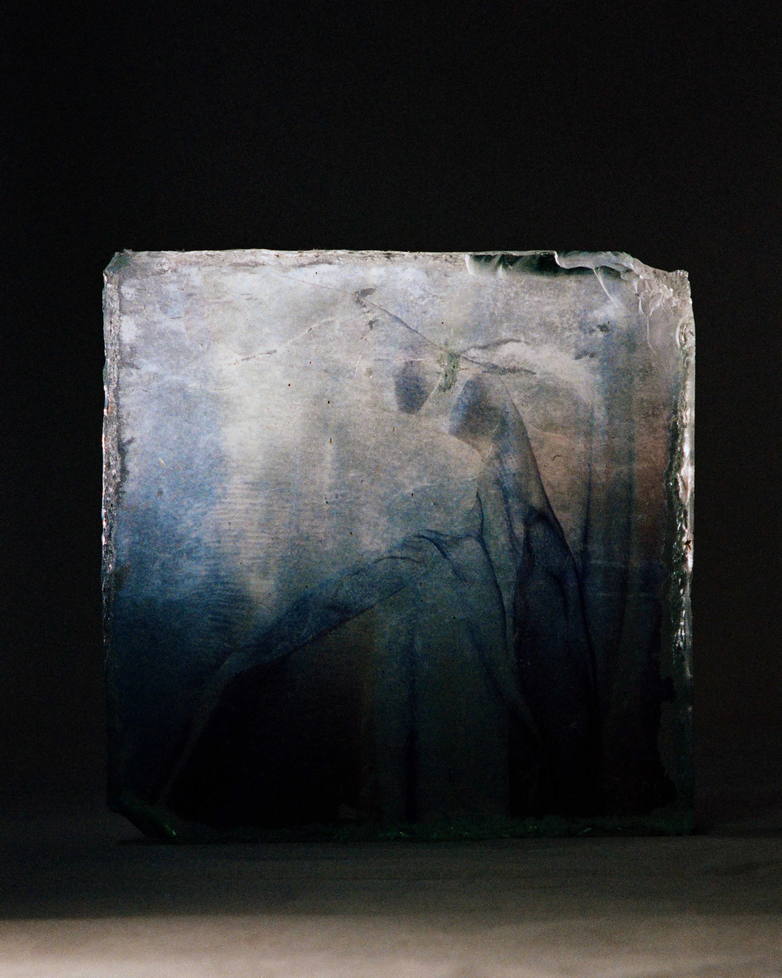 Un bloc de glace avec une silhouette d'élan à l'intérieur.