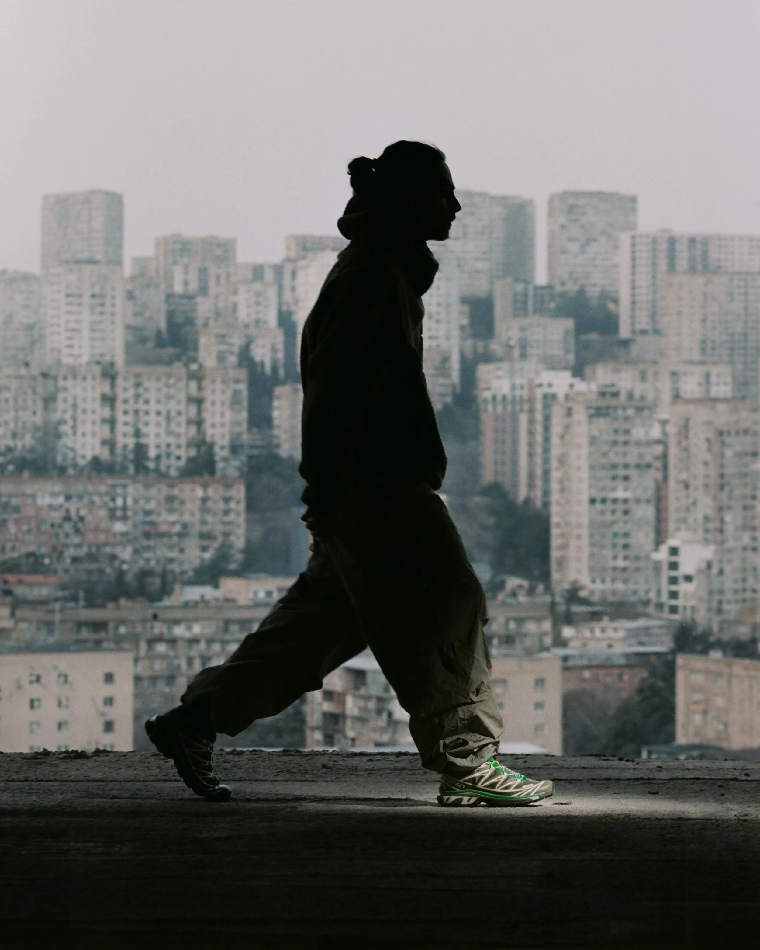 Salomon digital starring Nes