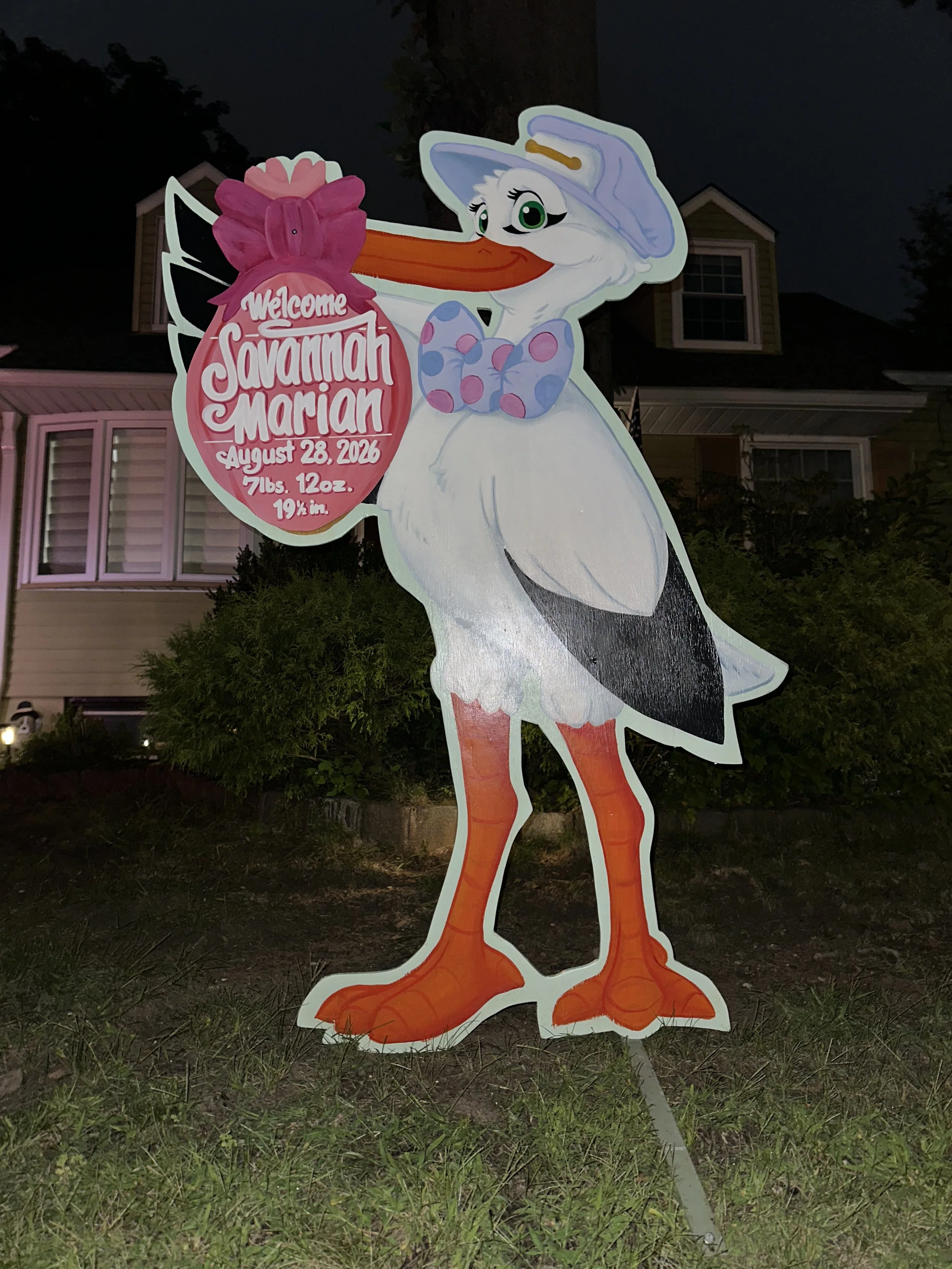 savannah marian stork.jpg
