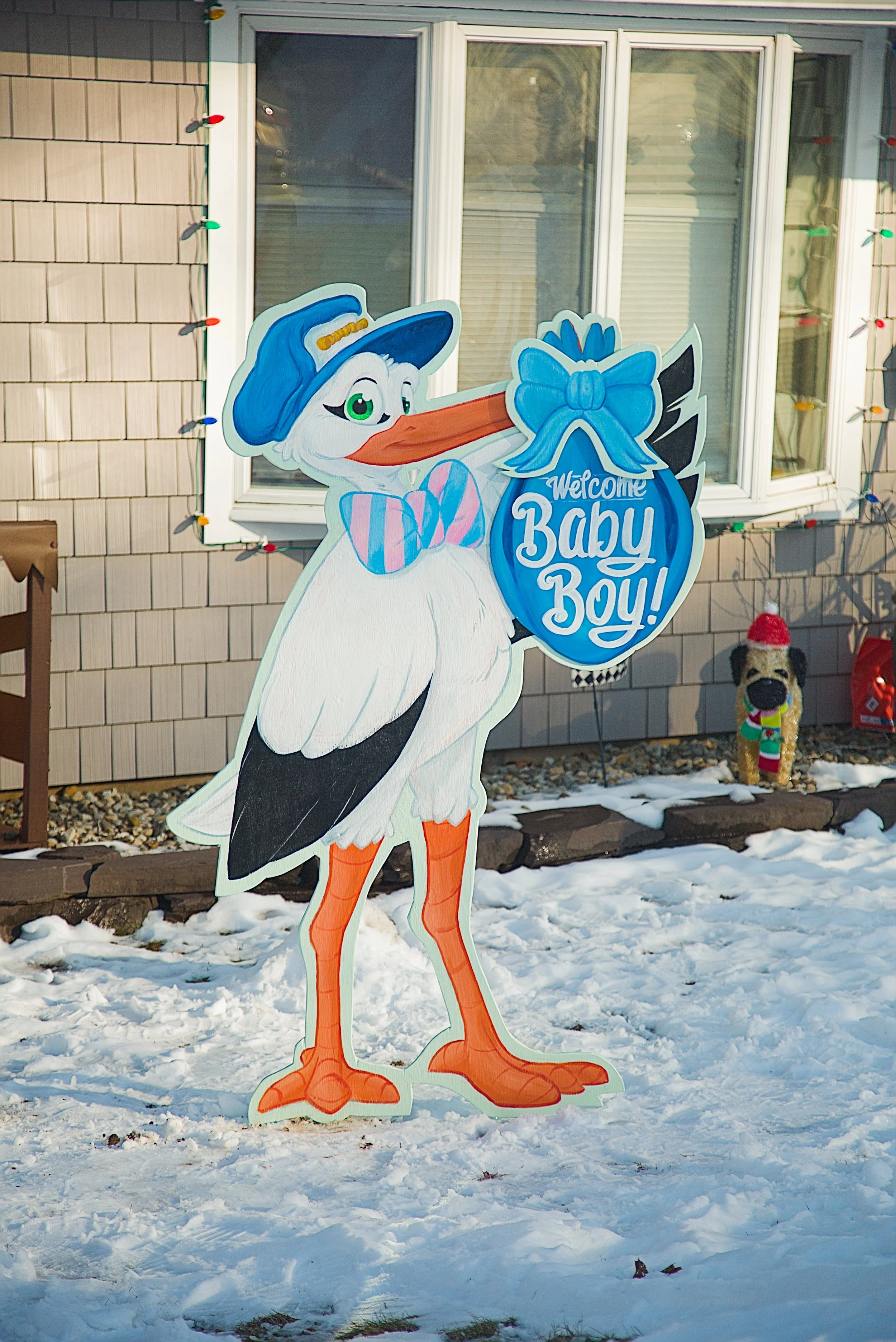 Baby Boy Stork Rental