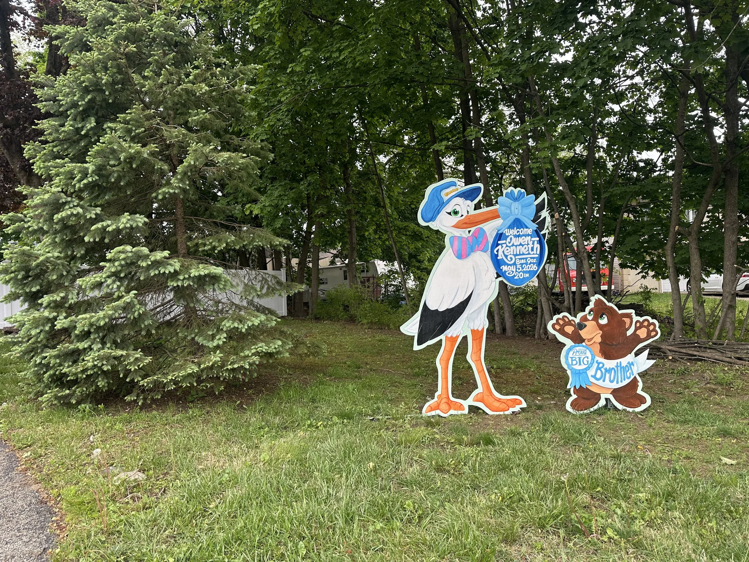 stork next2 tree owen kenneth.jpg
