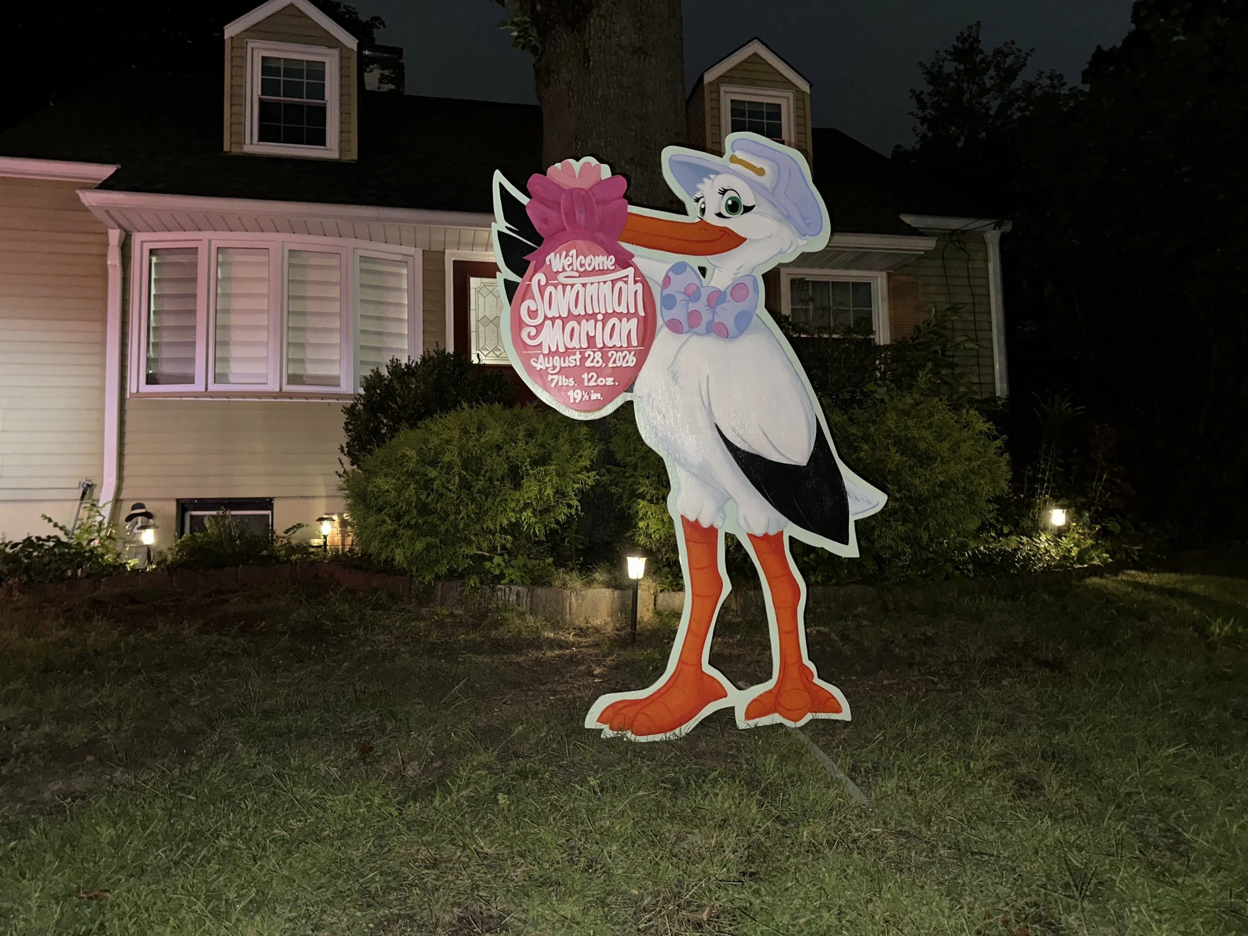 savannah marian stork wide.jpg