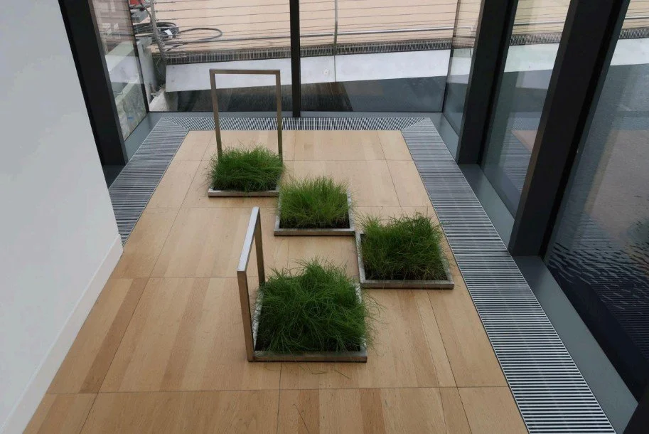 Screenshot 2026-02-20 121337.jpg