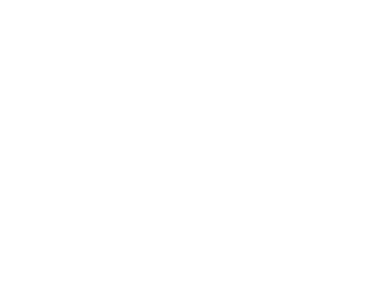 Logo featuring a globe with leaves and sun rays, with the text 'Lewisham Green Party' beneath.