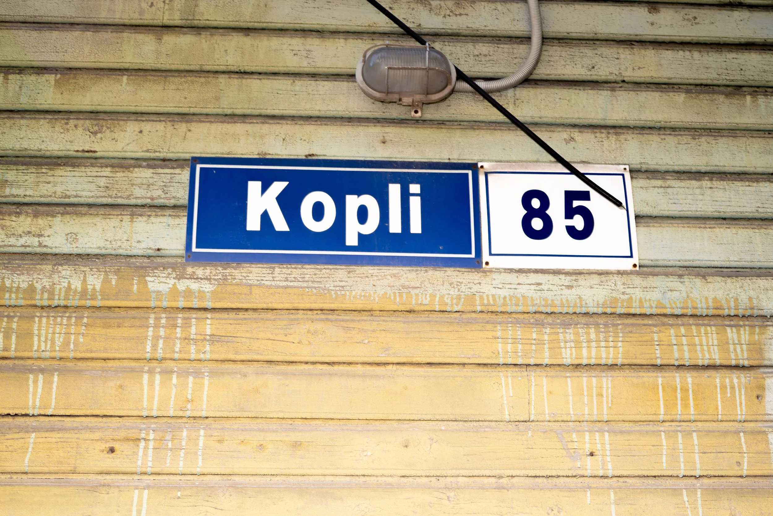 _DSC7413.jpeg