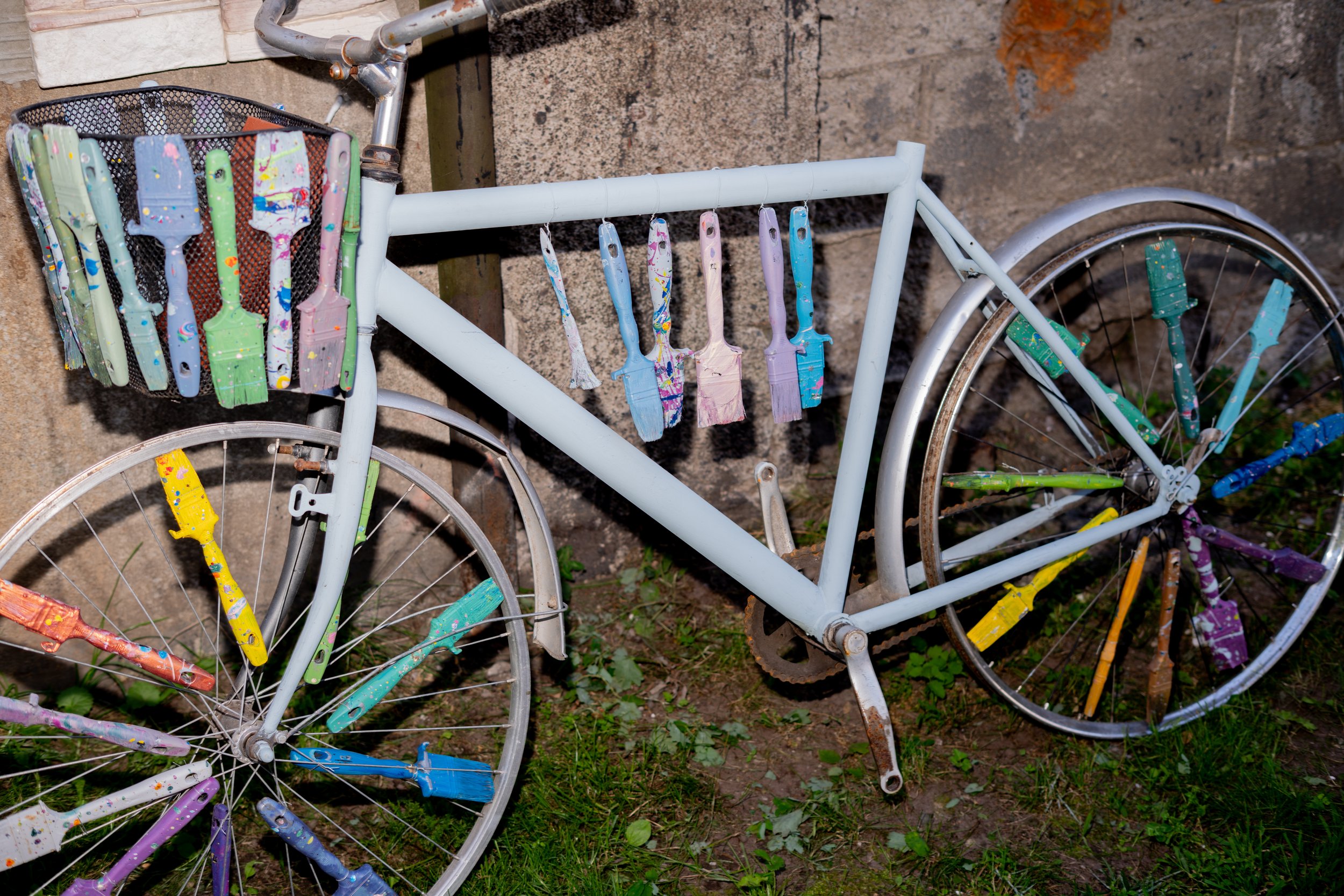 _DSC7461.jpeg