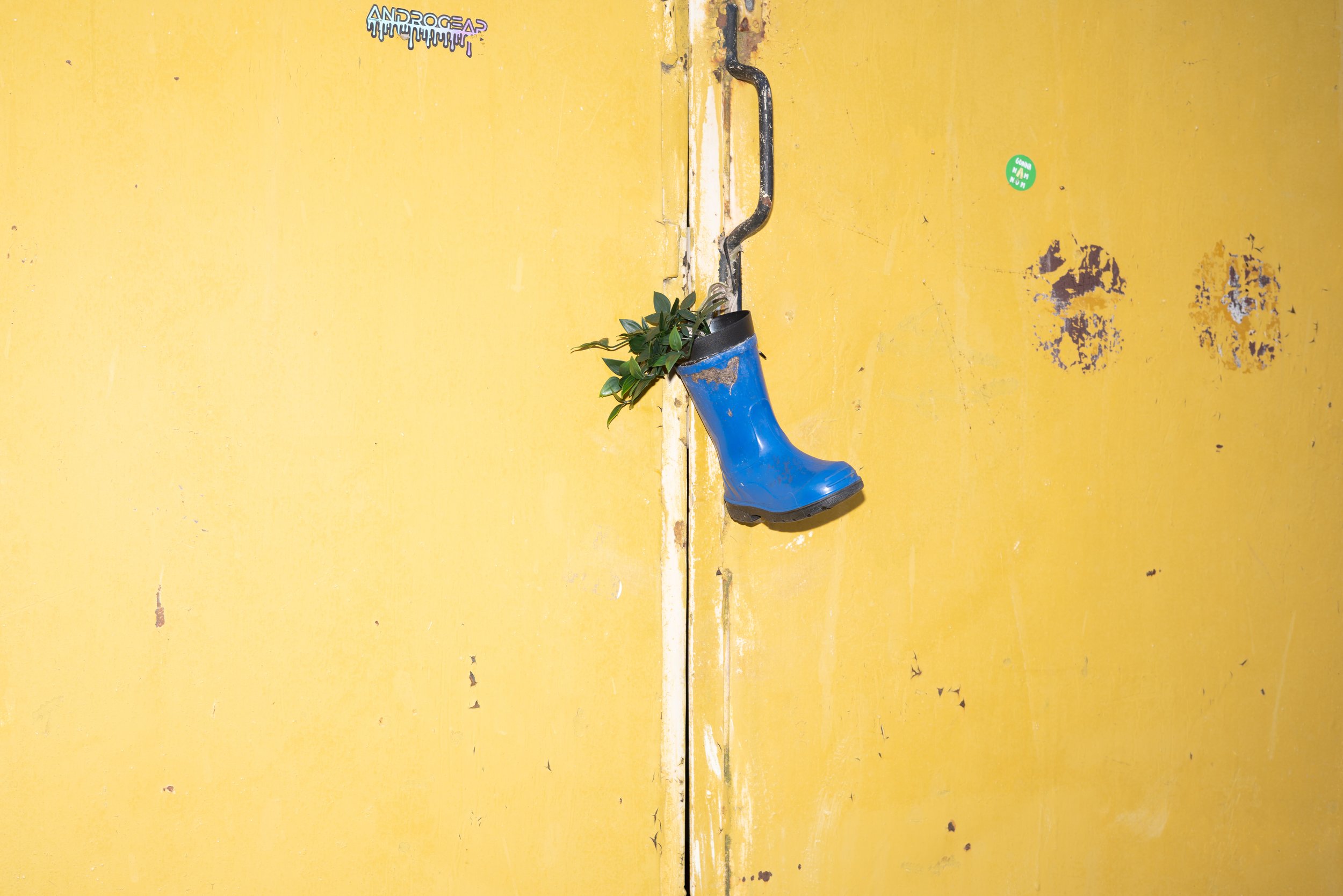 _DSC7473.jpeg