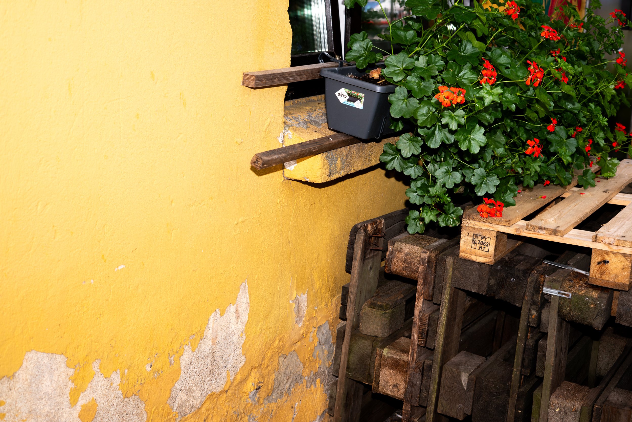 _DSC7522.jpeg