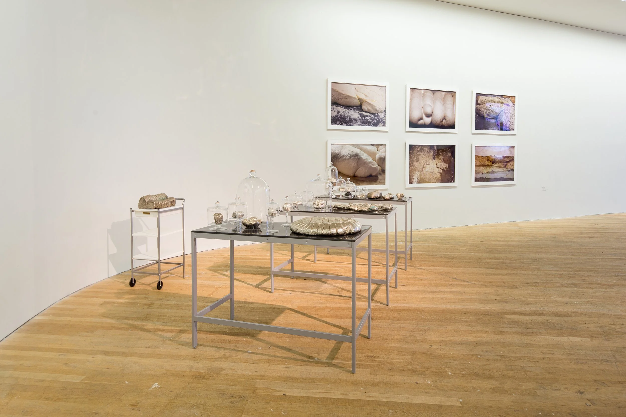 An art gallery with three gray tables displaying metallic sculptures and glass cloches. On the wall behind, there are six framed photos of rocks and textured surfaces. The gallery has a wooden floor and white walls.