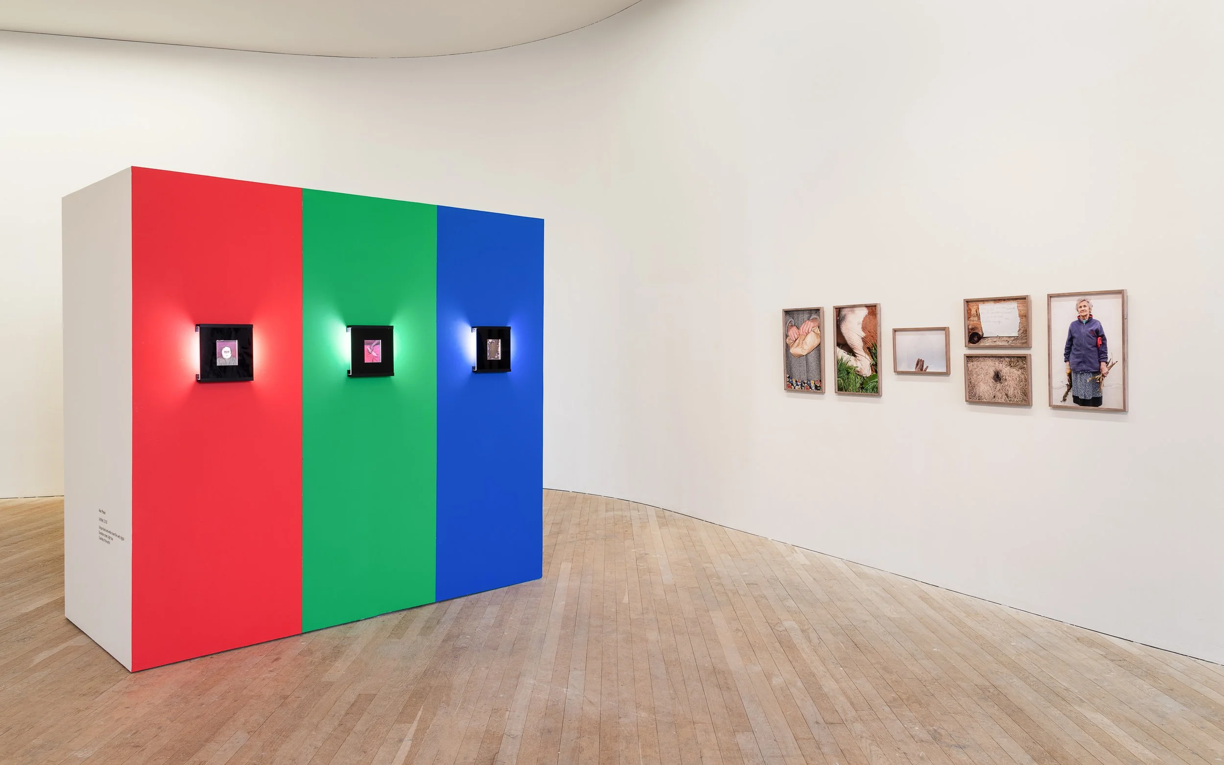 An art gallery with a colorful wall display and framed photographs on the wall.
