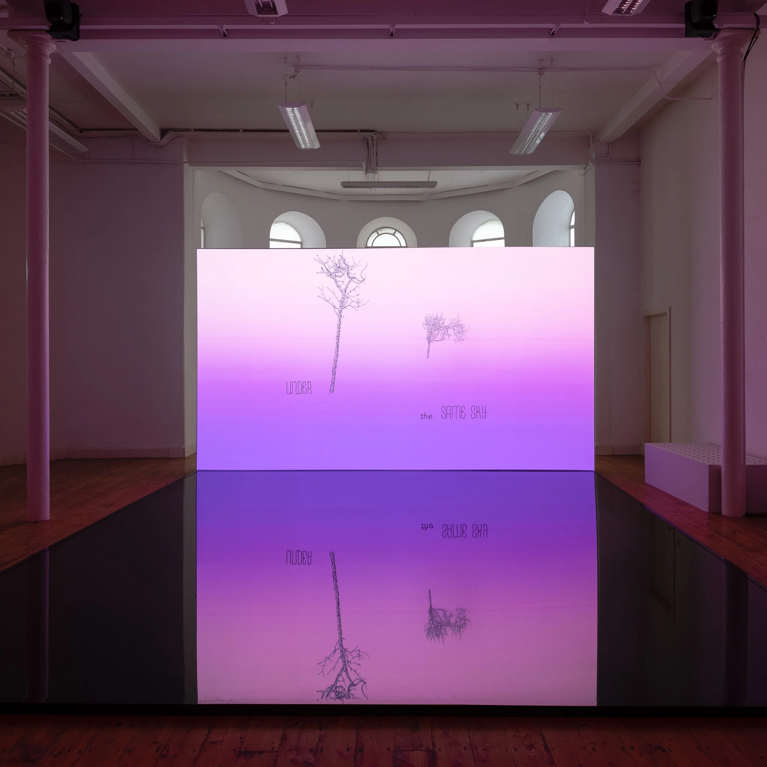 An art installation featuring a pink and purple gradient screen with line drawings of trees and text that reads 'UNDER the SAME SKY'. The reflection of the artwork appears in a black pool below.