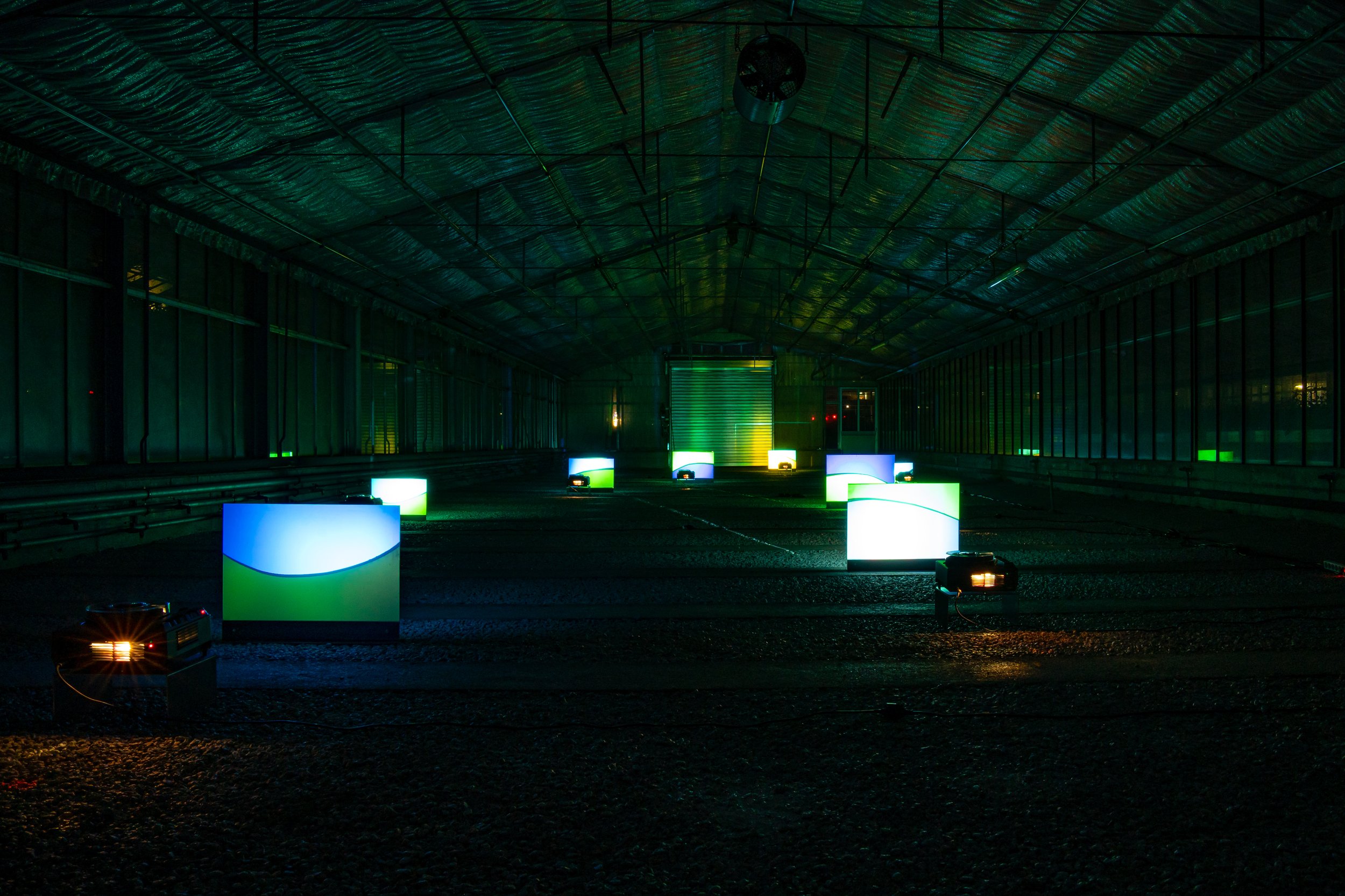 Inside a greenhouse with illuminated rectangular light boxes arranged on the ground, emitting blue, green, and white light, with a metallic ceiling and a roll-up door at the back.