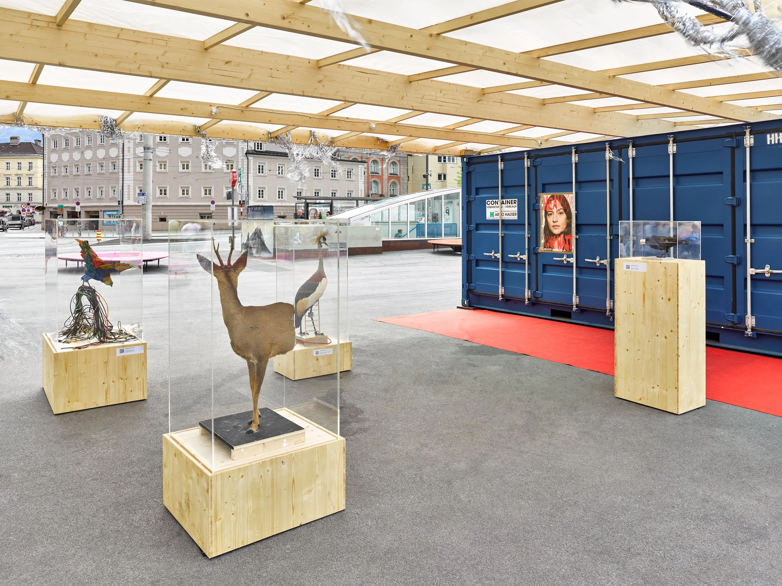 Outdoor art exhibit with taxidermy animals and sculptures displayed on wooden pedestals under a wooden overhead structure, with a cityscape background.