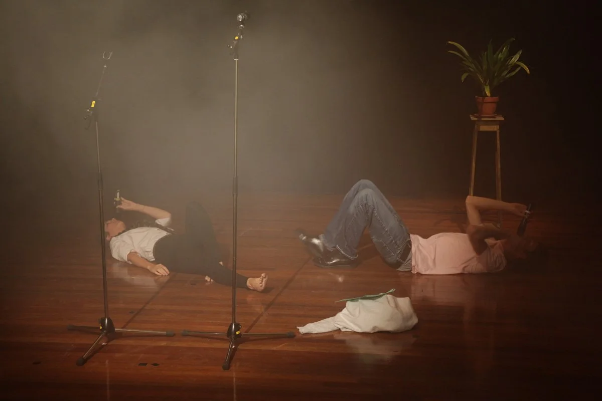 Two people laying on the wooden floor, one with a microphone in hand, surrounded by fog or smoke, with a plant on a stand in the background.
