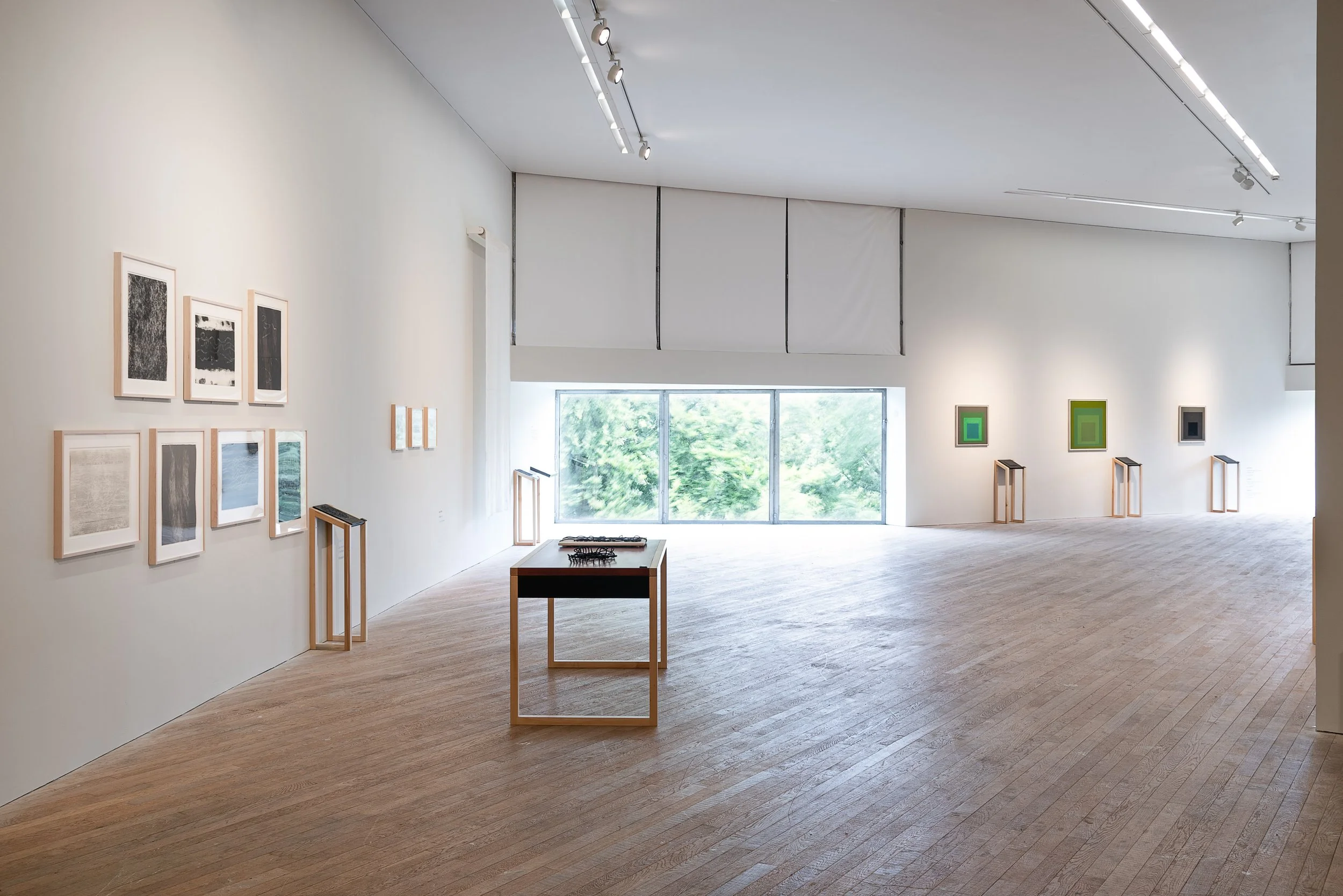Empty art gallery with framed artworks on white walls, wooden flooring, large window at the back revealing green trees, and ceiling lights.