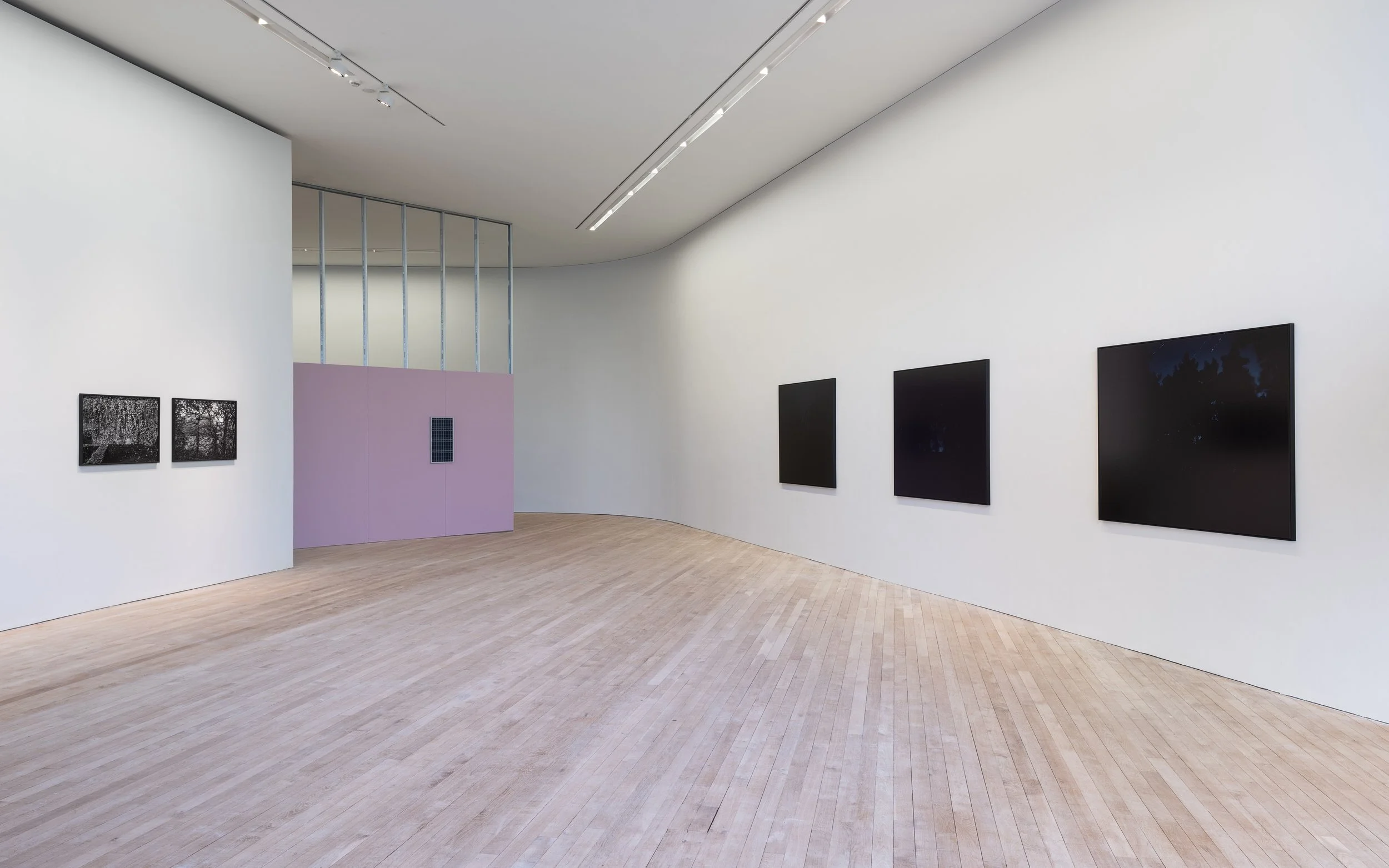 An art gallery with a light wood floor and white walls displaying black and white photographs and black artworks, with a purple partition wall and a corner view.