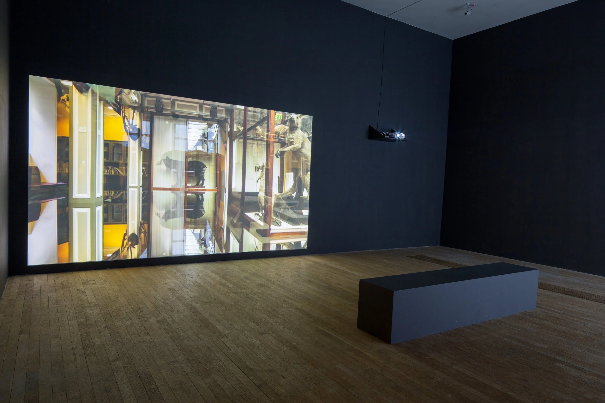 An art gallery with a large projected image on a dark wall, showing an upside-down view of a library or gallery with animal statues, and a black bench on a wooden floor.