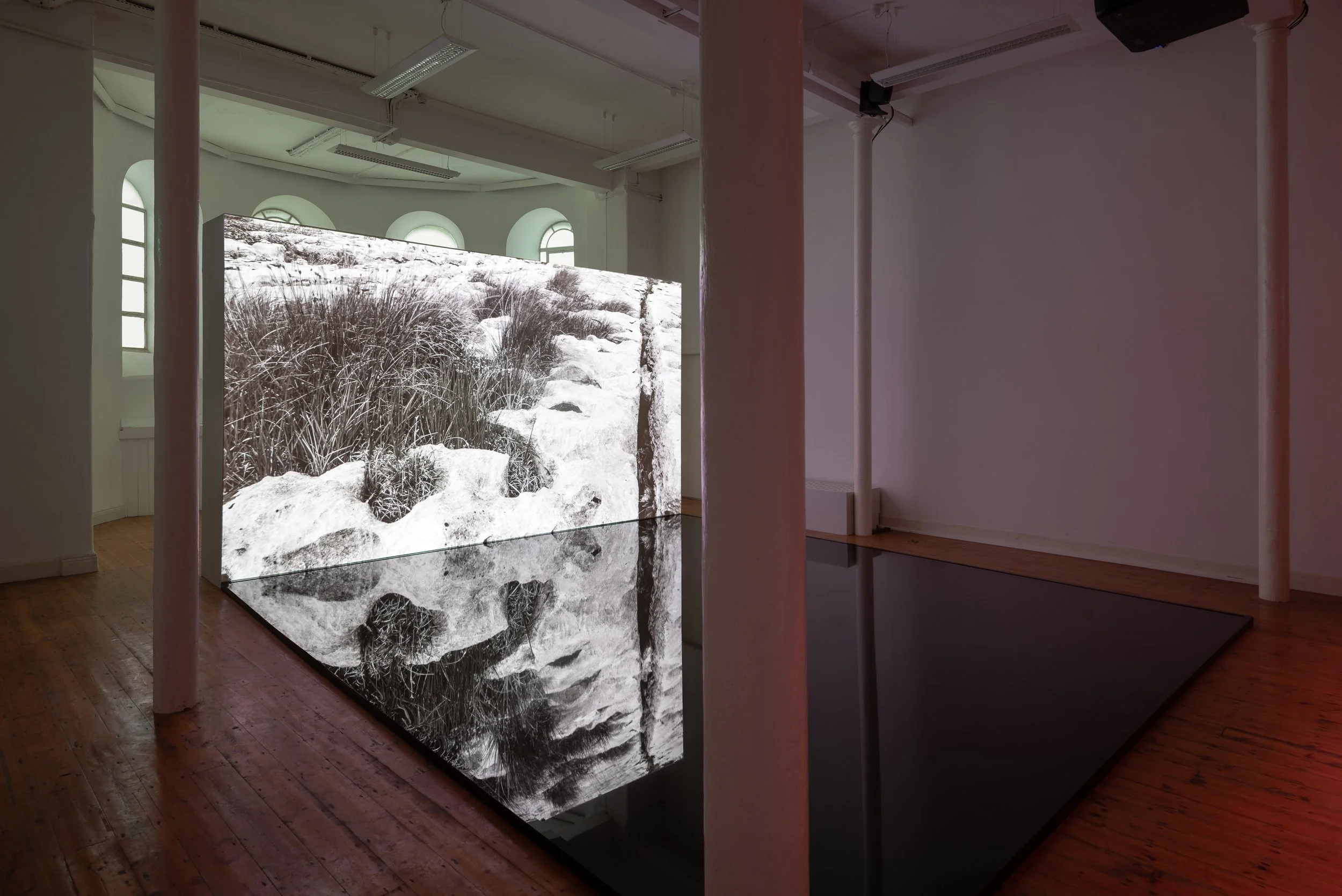 An art installation shows a large rectangular screen displaying a grayscale outdoor scene with rocks and tall grass, reflecting on a black surface below. The room has wooden floors and white walls with tall arched windows, illuminated by natural ligh
