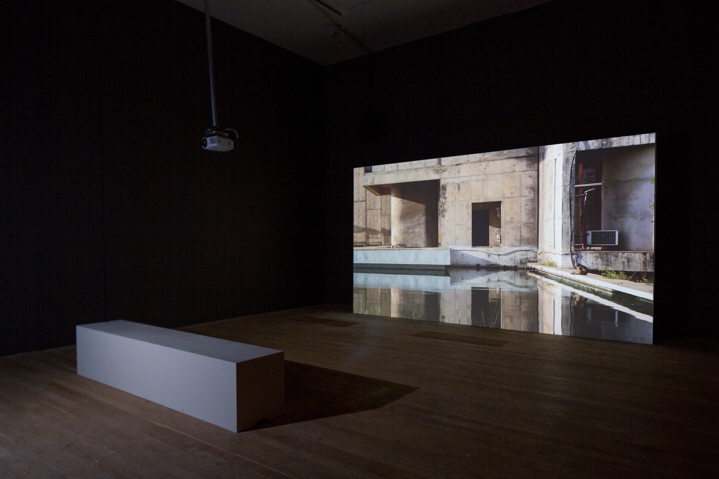 Dark room with a recorded projection of an urban scene on the wall, a wooden floor, and a white bench.