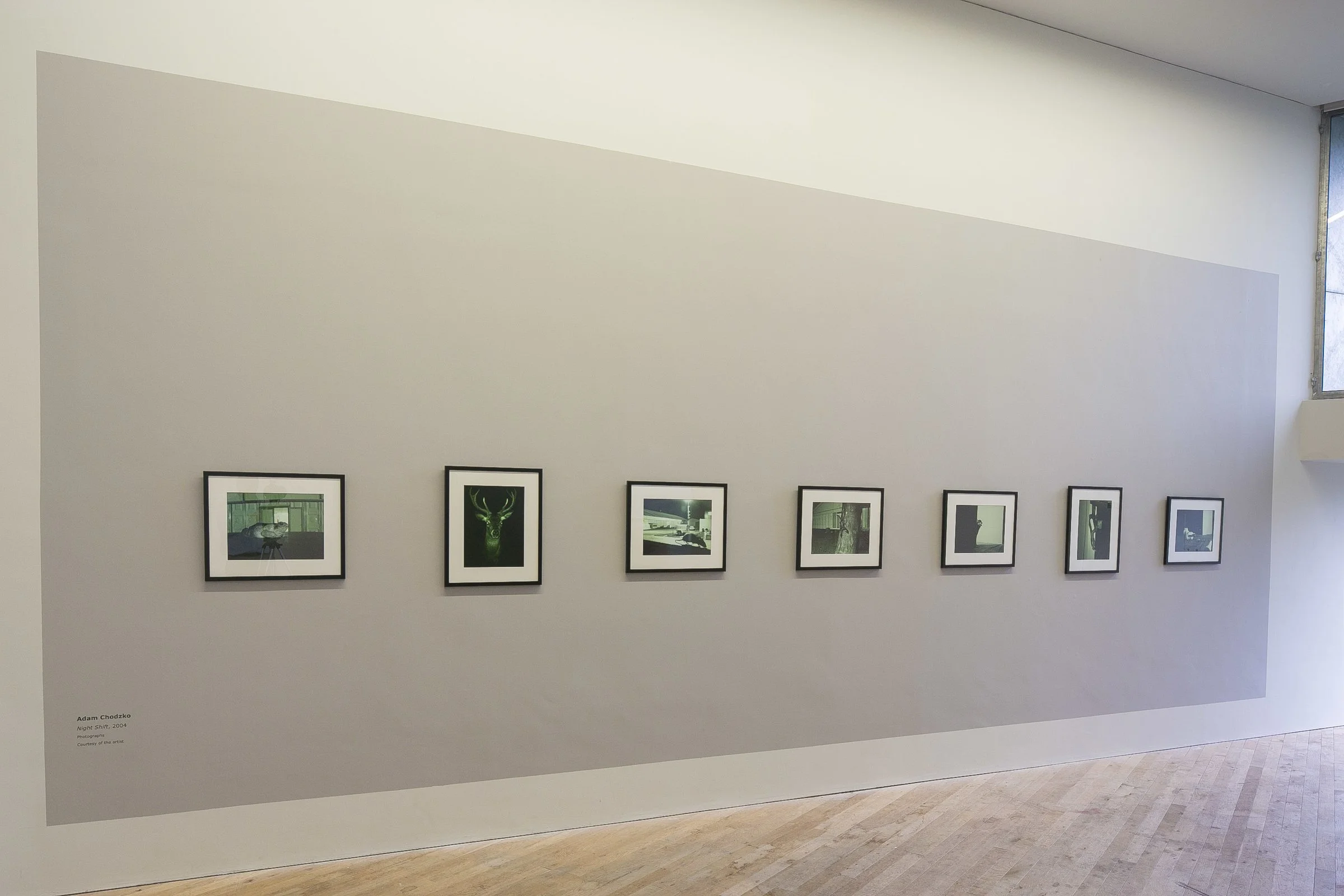 Gallery wall with seven framed photographs arranged in a horizontal line in an art gallery, with a small label on the lower left corner.
