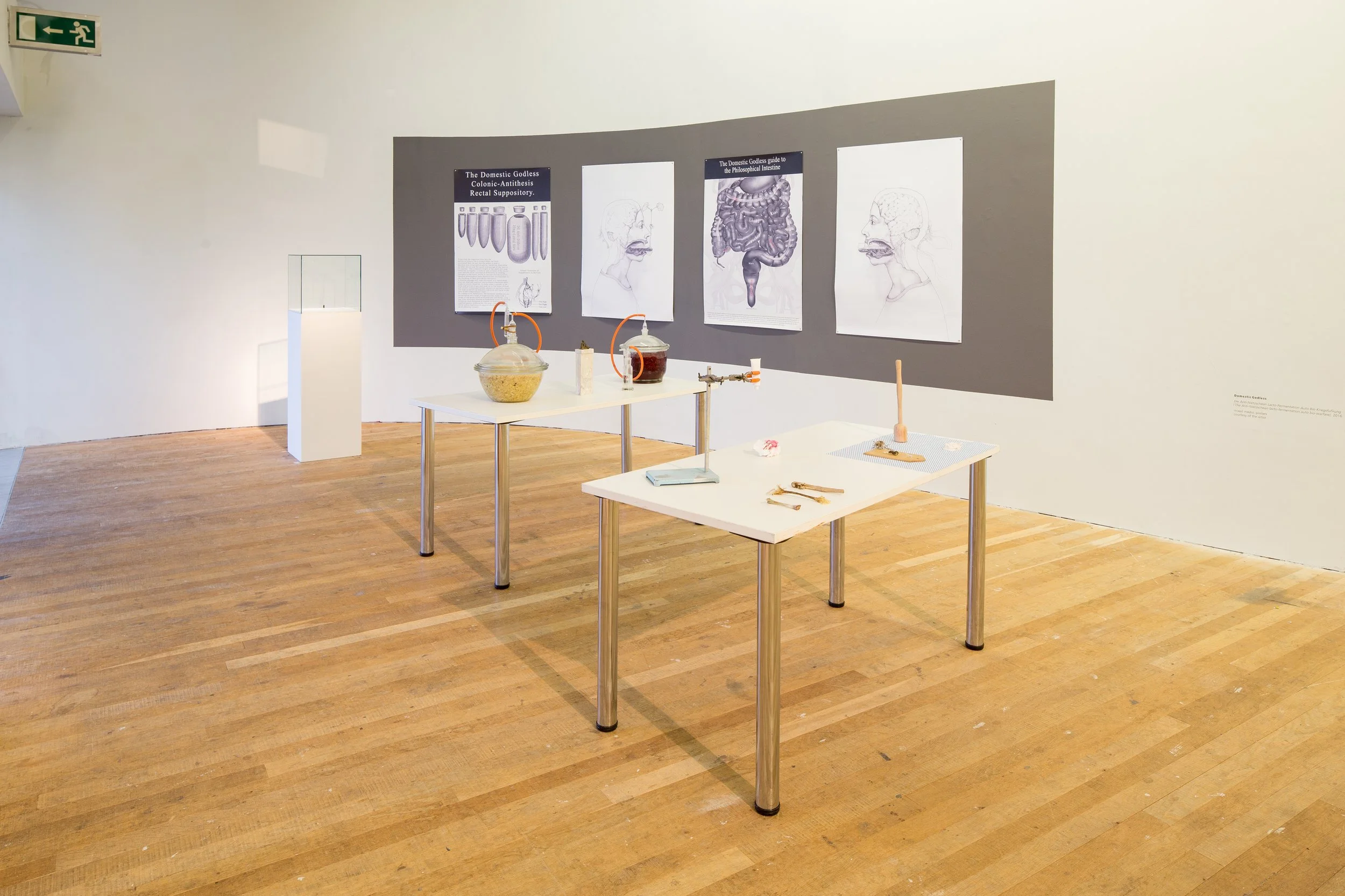 An art gallery exhibit with two white tables displaying scientific specimens and tools related to human anatomy, with anatomical diagrams and illustrations on the wall behind.