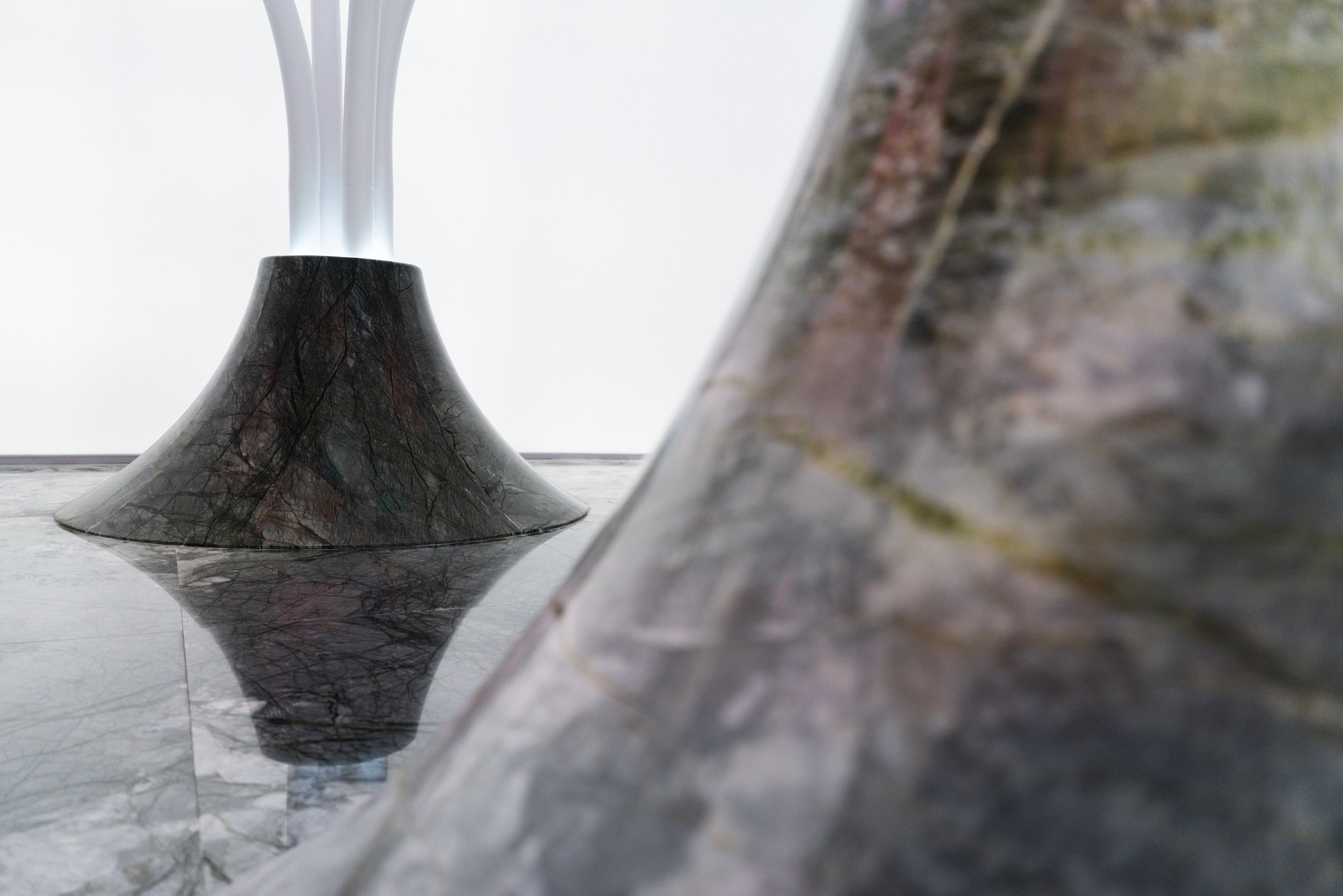 Close-up view of a marble or granite surface with a reflection of a tree branch visible on the shiny, dark-colored material.