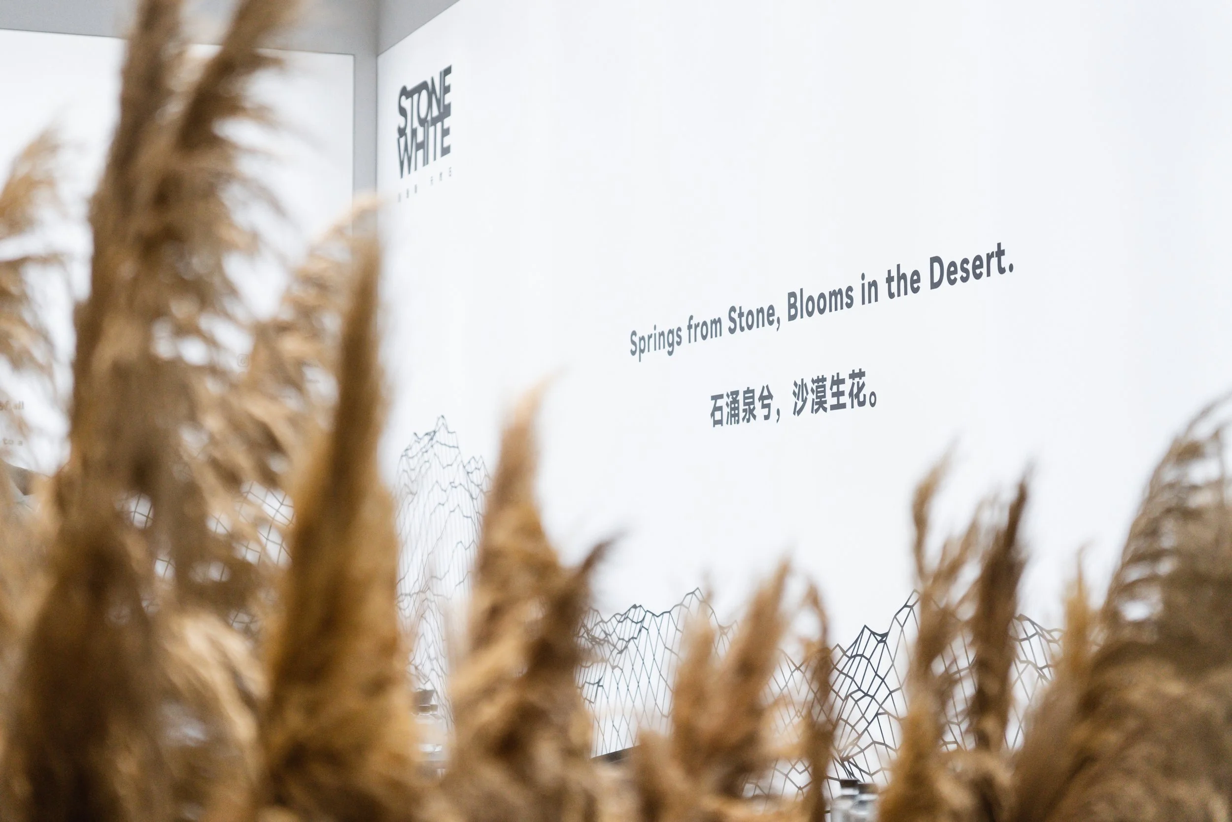 Close-up of dried wheat stalks in front of a white informational display board with text about stones and blooms, featuring English and Chinese characters.