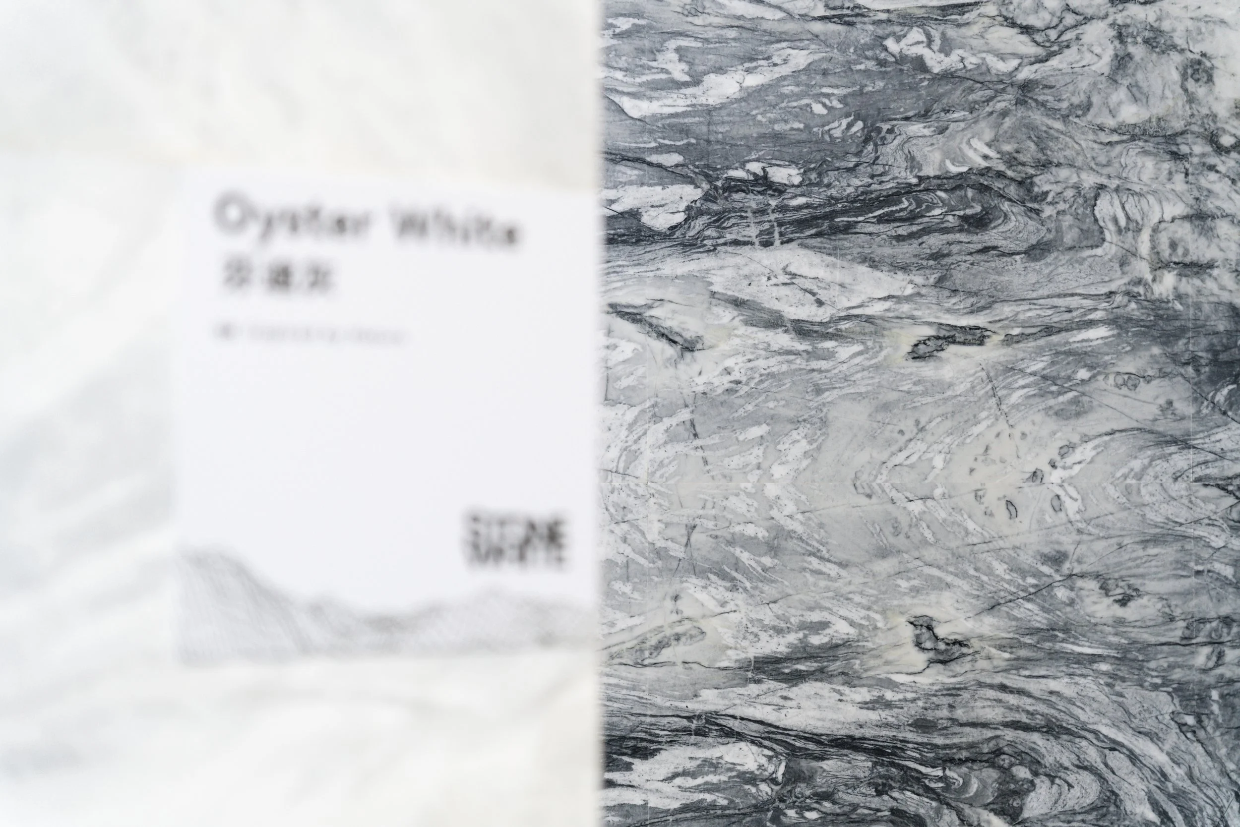 Part of a white marble or quartz slab with gray and black veining on the right, and a blurred white label on the left with the word 'Oyster White'.