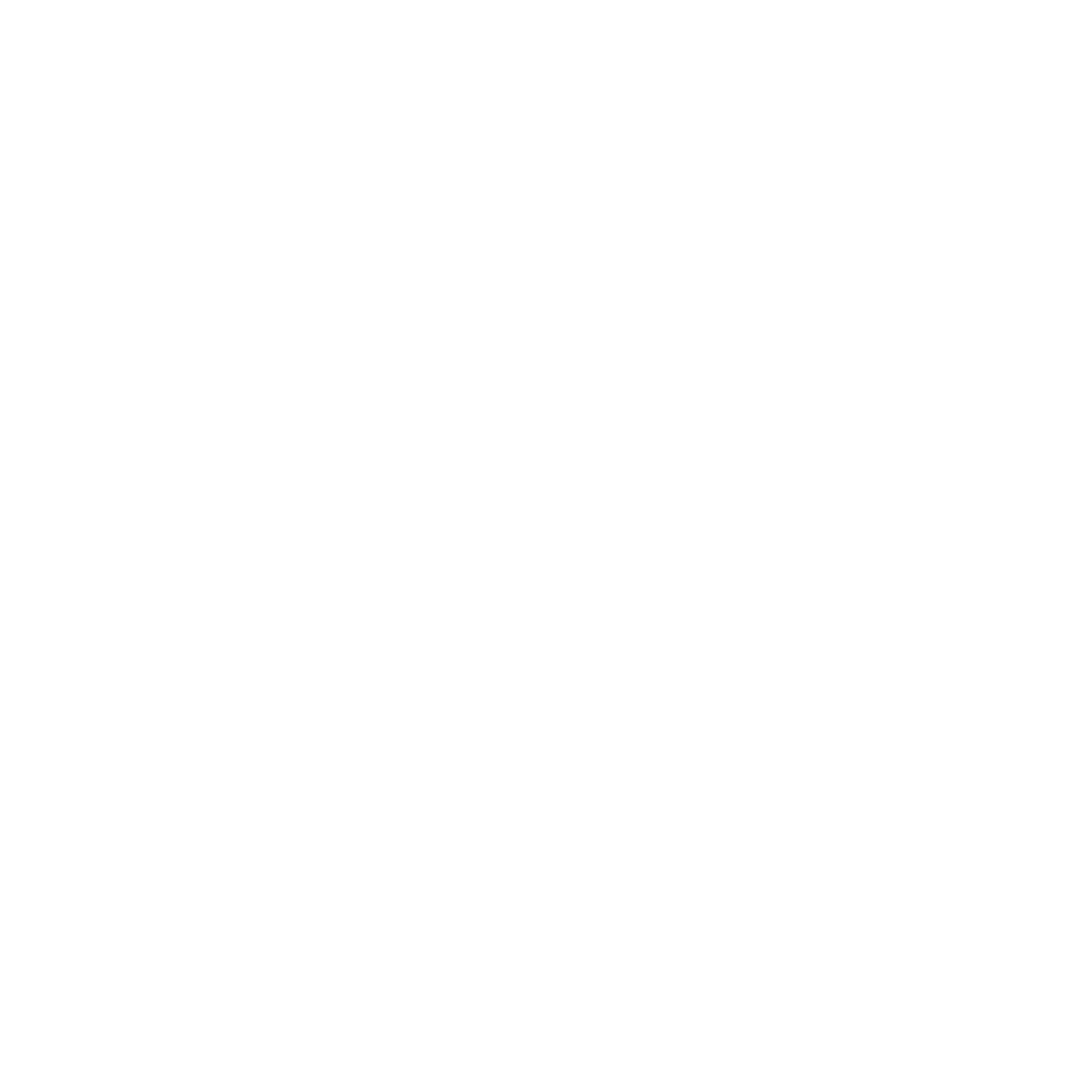 Security shield, surrounded by a textured circular border on a black background.