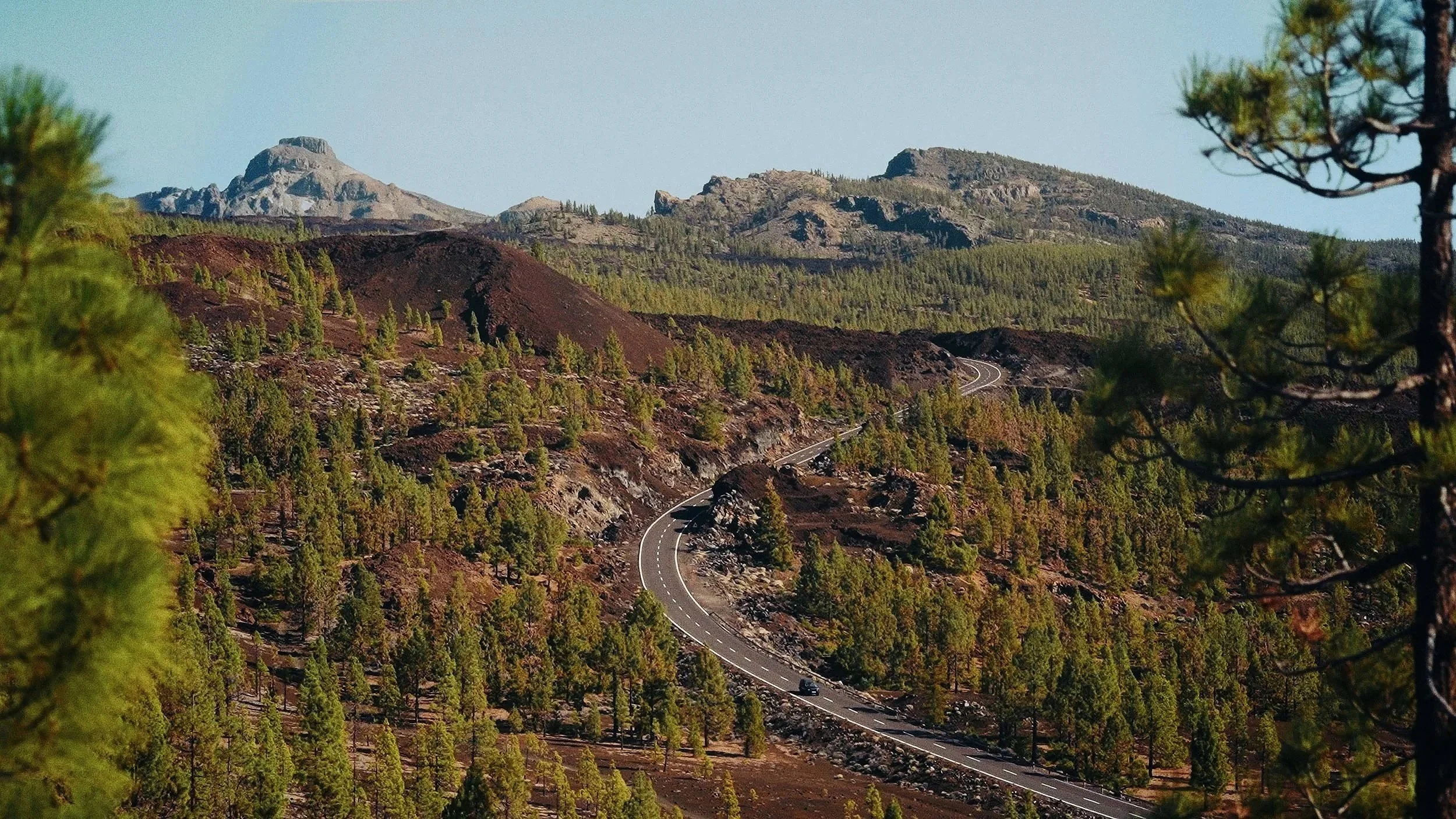 A winding mountain road through a forest of pine trees, with rugged hills and mountains in the background.