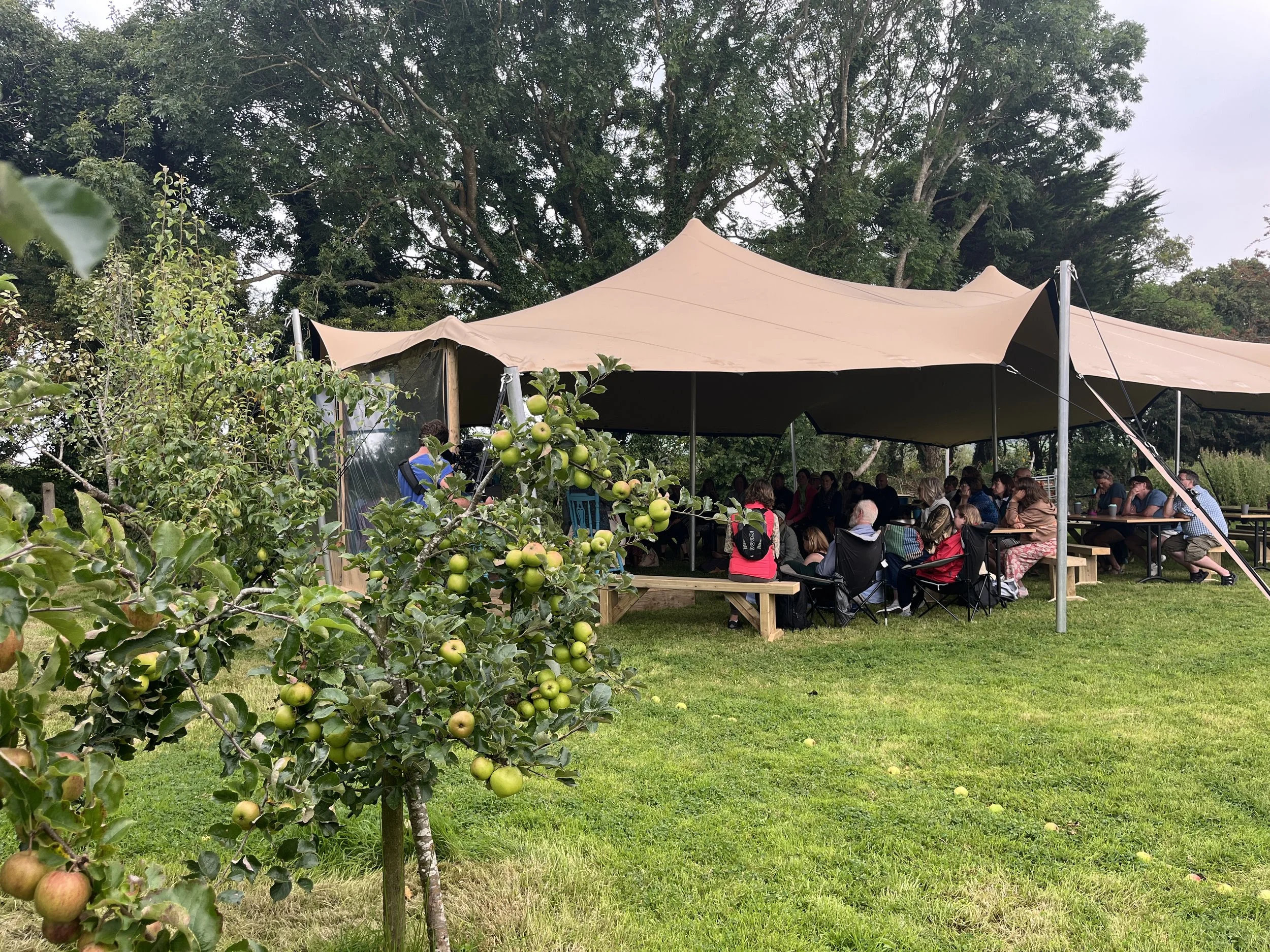 Text at the Bean Festival August 2026.JPG