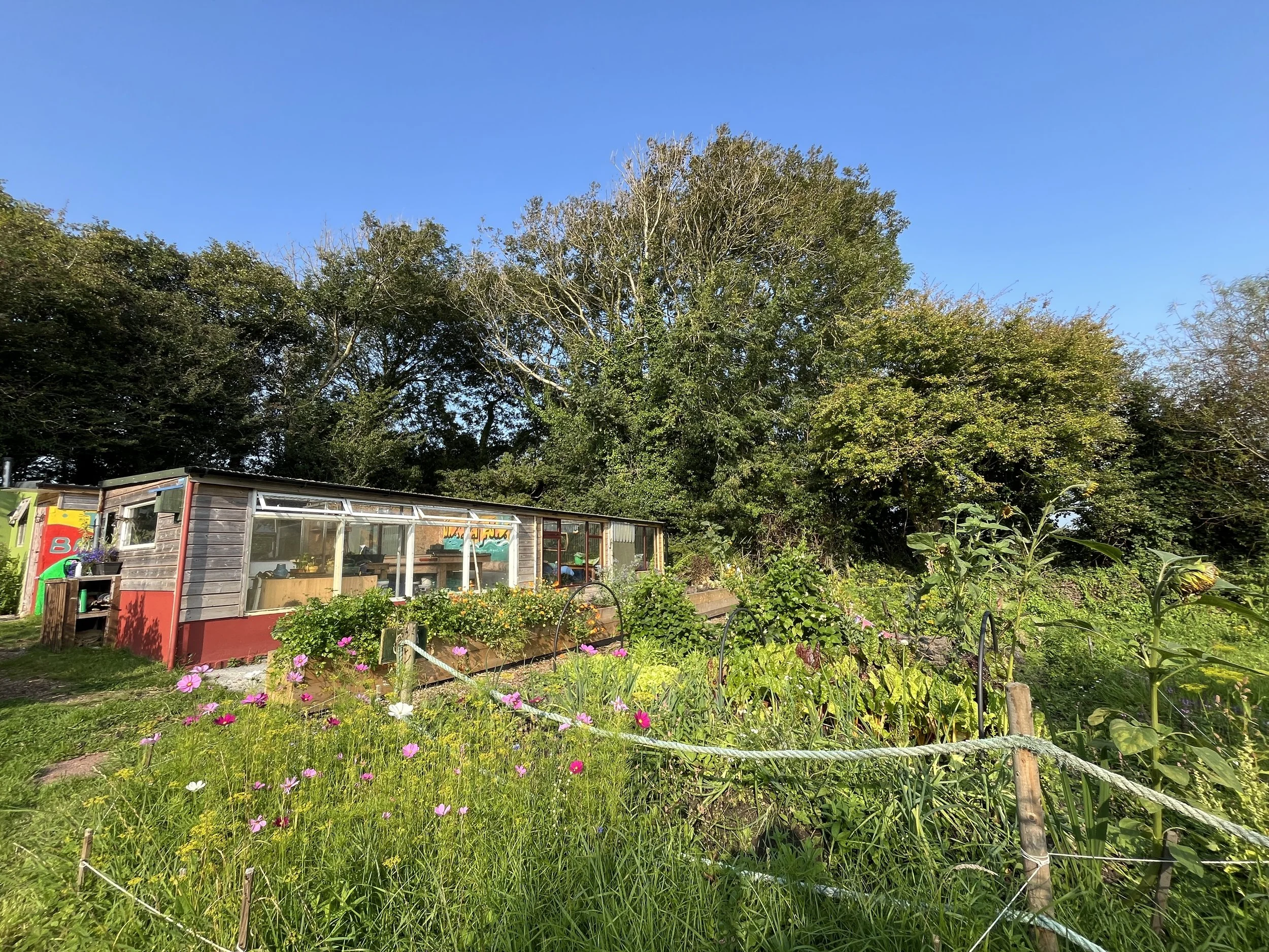 Community Garden in full flower with blue sky_The Barna Way.JPG