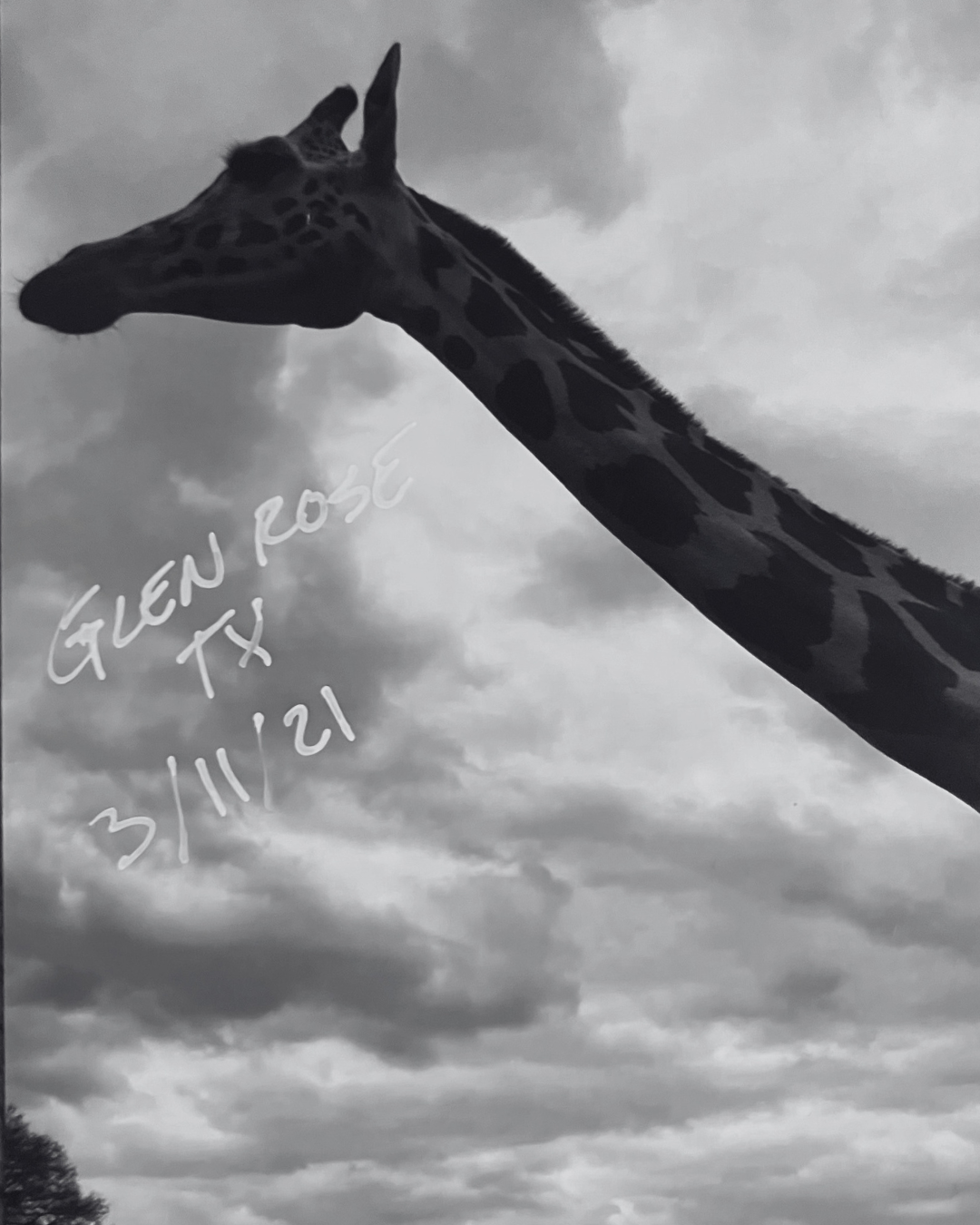 237.png