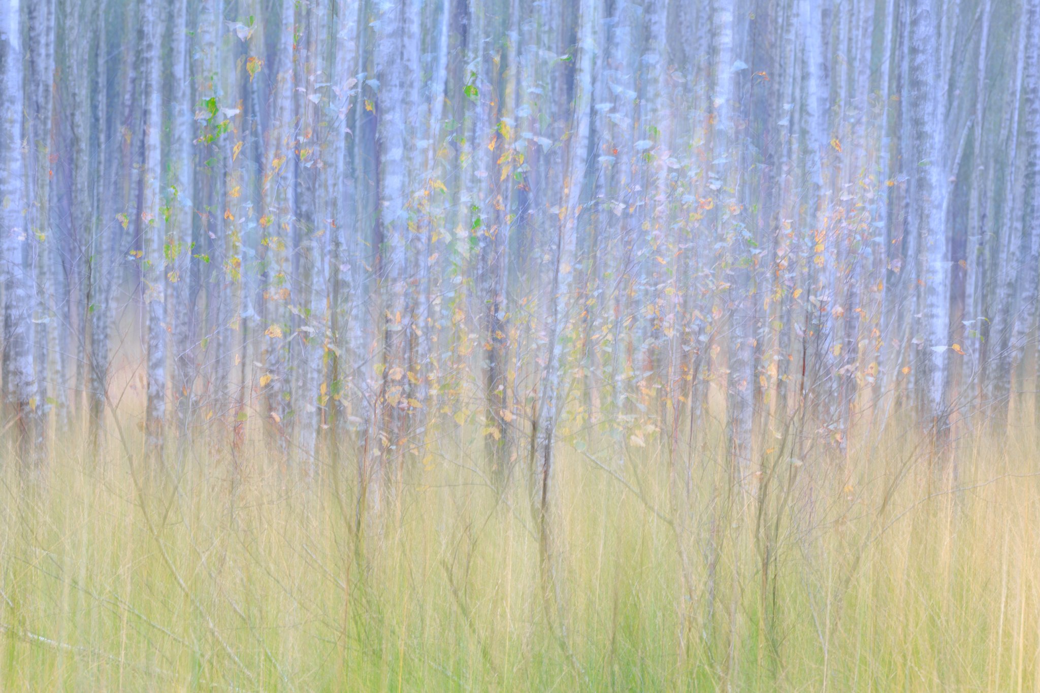 ICM