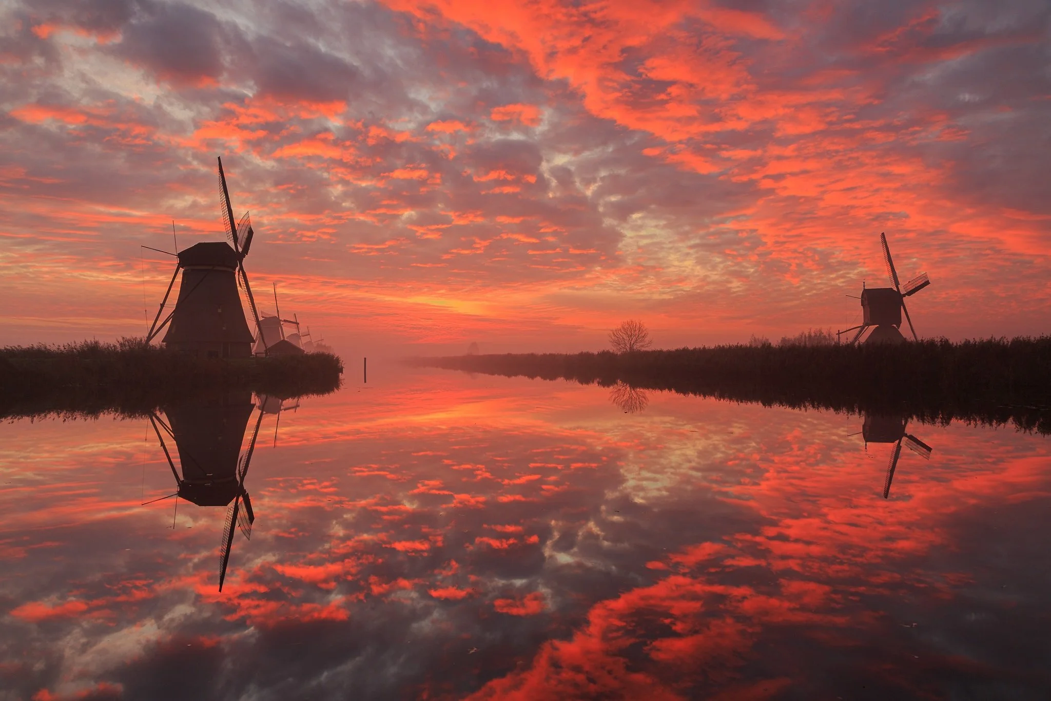 kinderdijk.jpg