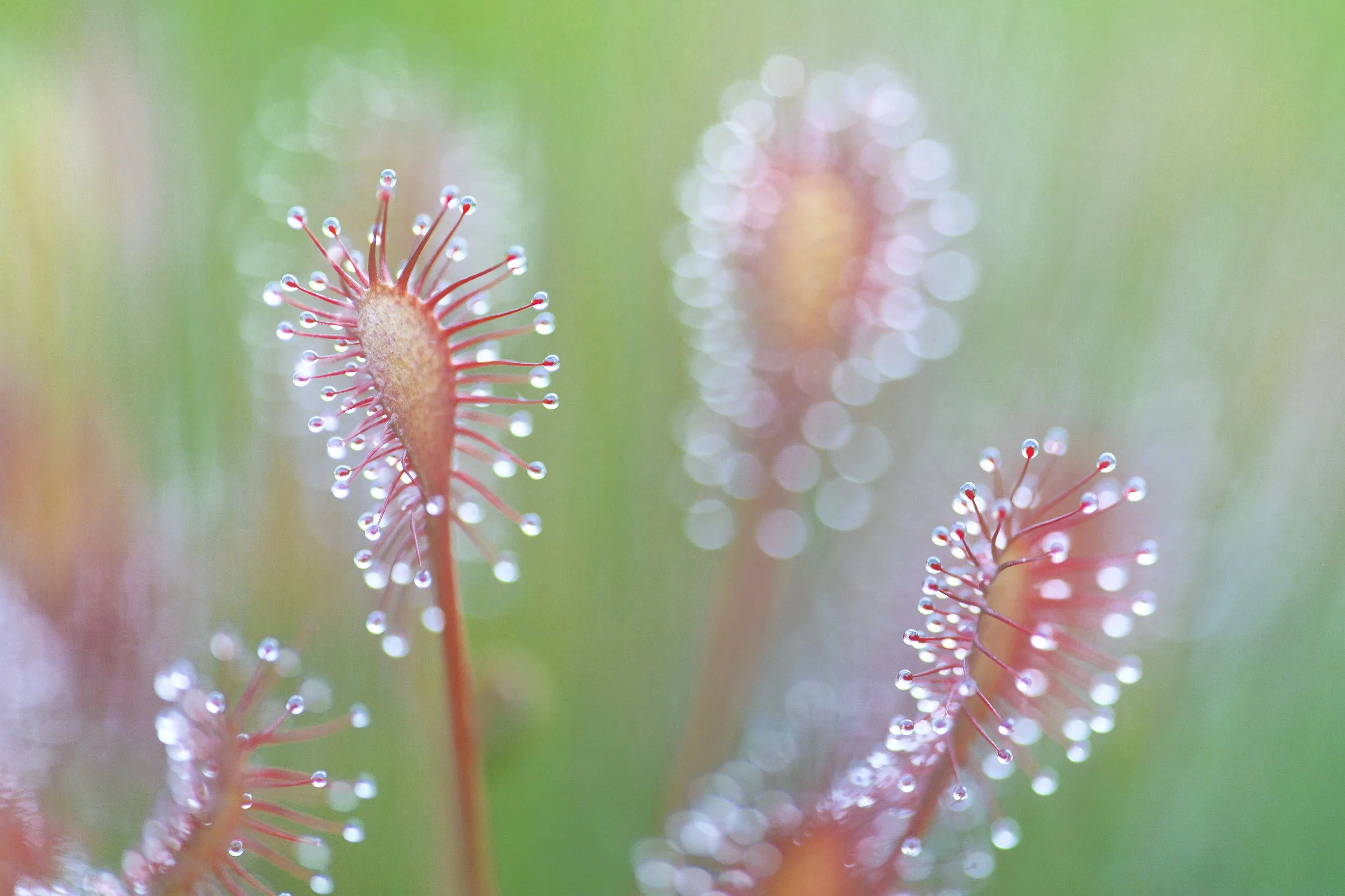 _87A8329.jpg