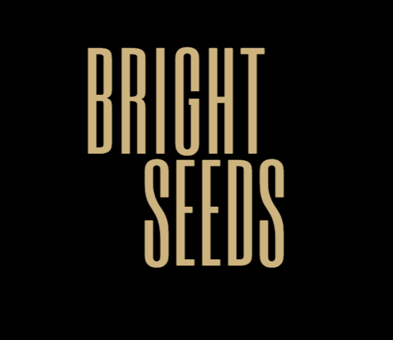 BRIGHTSEEDS MEDIA