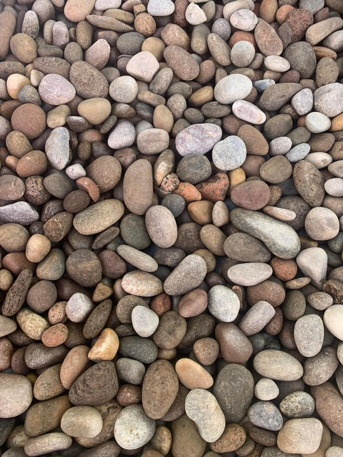 A collection of small, smooth, multicolored river rocks and pebbles.