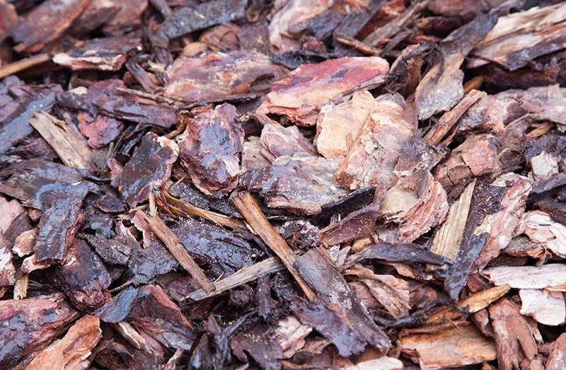 Decorative Bark