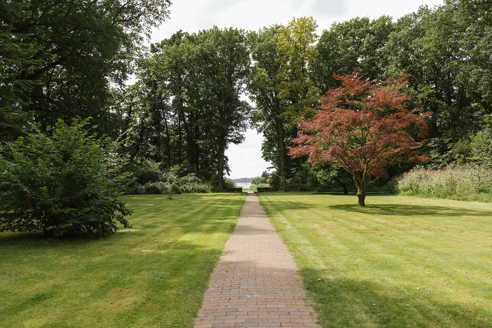 Wiese und Bäume mit einem Weg zum See 