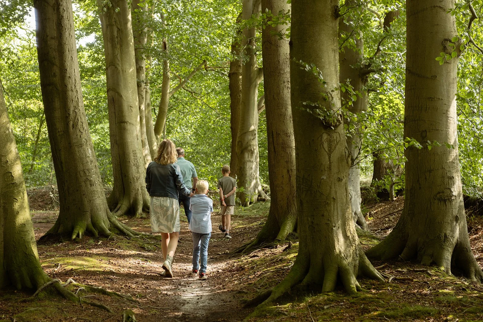 Familie wandert durch einen grünen Wald.