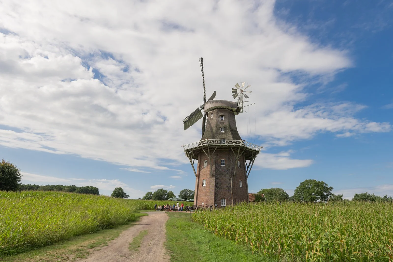 Ein alter Windmühlen-Turm auf einem Feld mit grünem Getreide, ein Weg führt zum Turm, im Hintergrund sind Bäume und ein blauer Himmel mit Wolken. Die Holtlander Mühle.