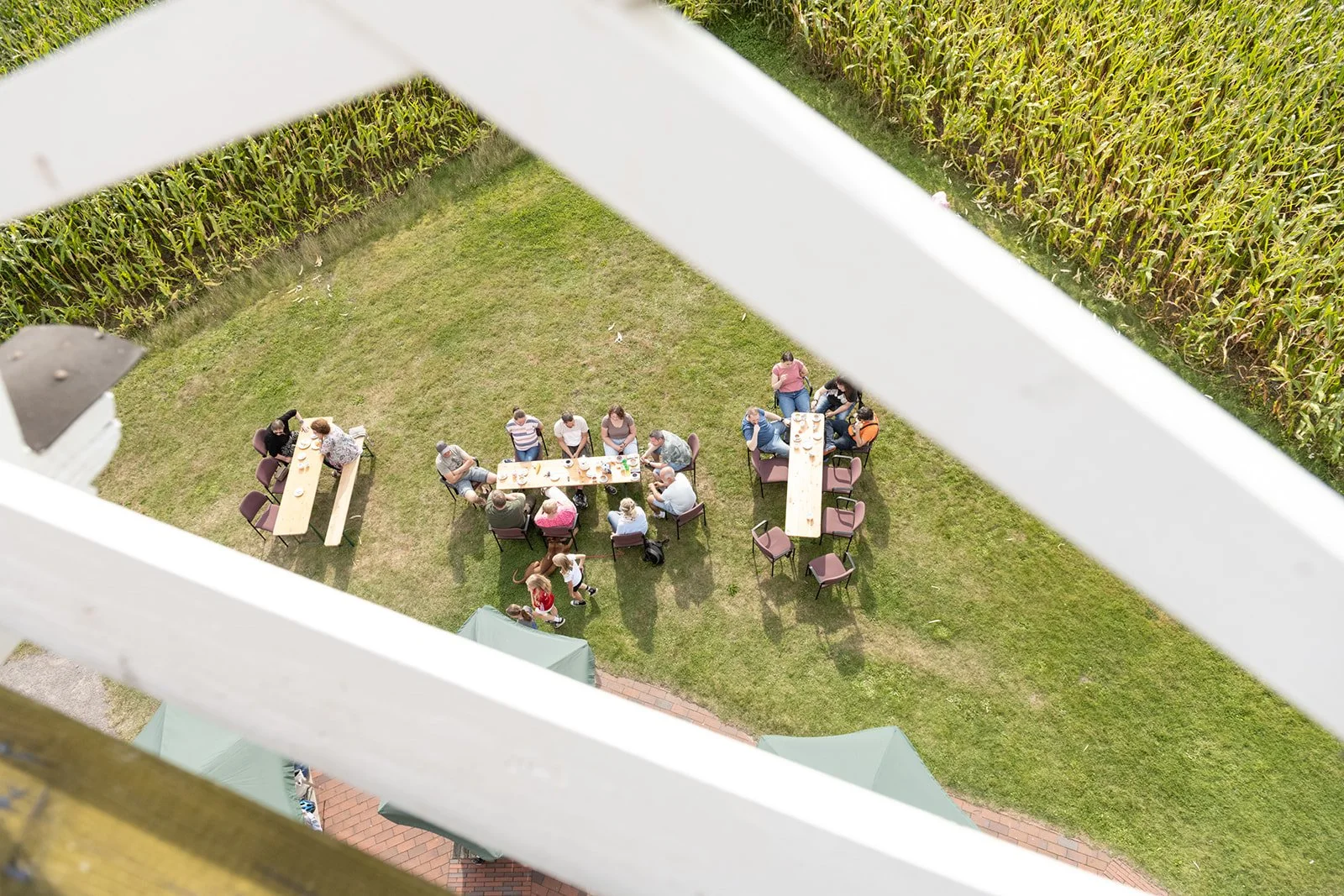 Blick aus einer hohen Position auf eine Gruppe von Menschen, die auf der grünen Wiese unterhalb sitzen und essen, umgeben von einem Zaun und einem Maisfeld.