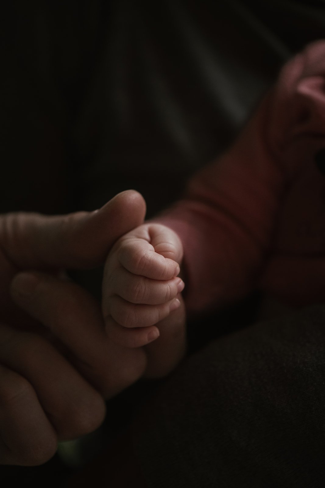 Nahaufnahme eines Erwachsenen, der ein kleines Baby hält, mit Blick auf die Hand des Babys, in einer dunklen Umgebung. Neugeborenes Fotoshooting
