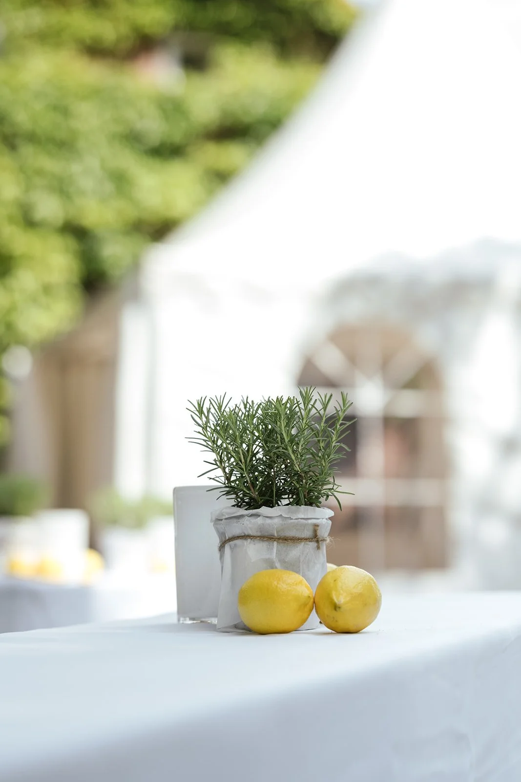 Hochzeitsdeko im Park, Tischdeko mit Rosamrin und Zitronen.