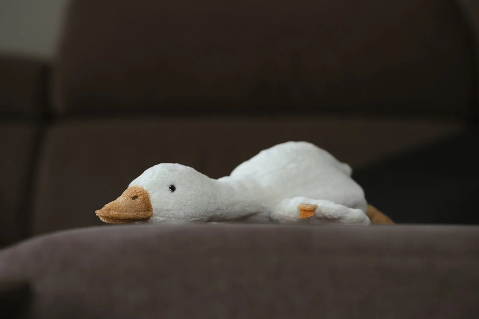 Ein Plüschtier eines weißen Gänse mit braunem Schnabel, liegend auf einem Möbelstück.
