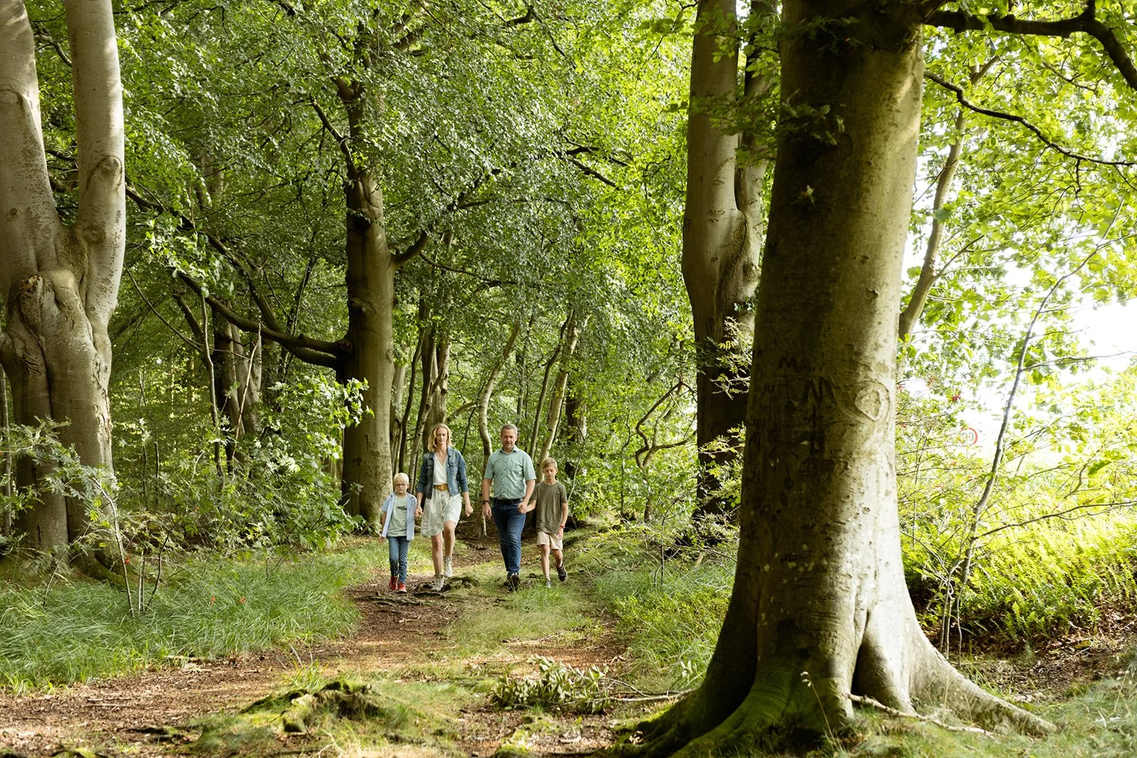 Familie beim Spaziergang im Wald.