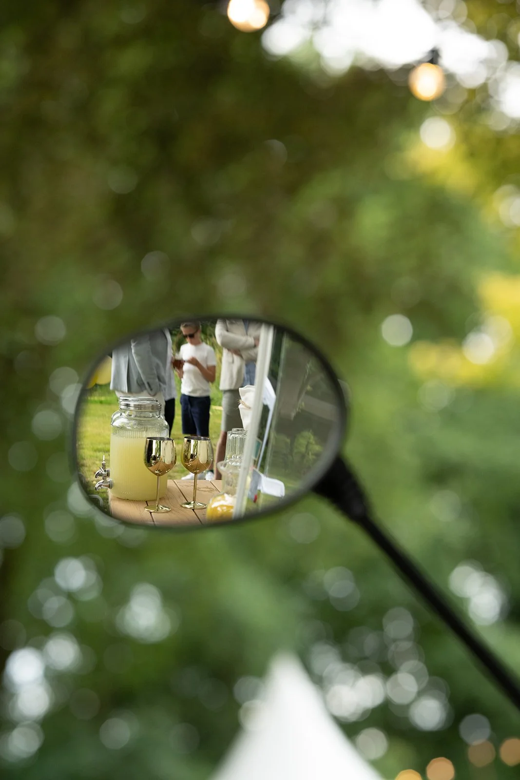 Detailaufnahme im Park 